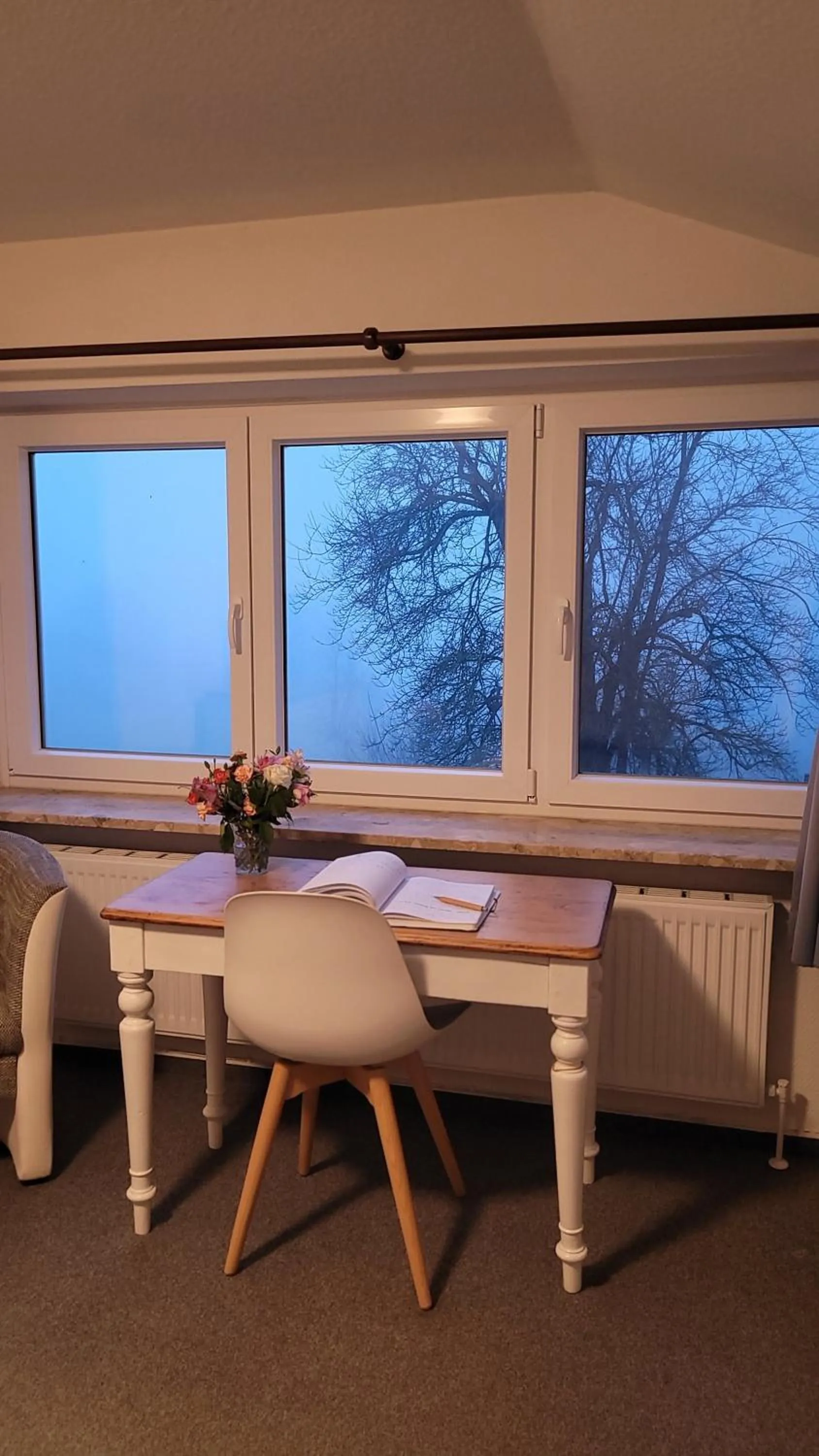 View (from property/room) in Room and kitchen im Katerberg