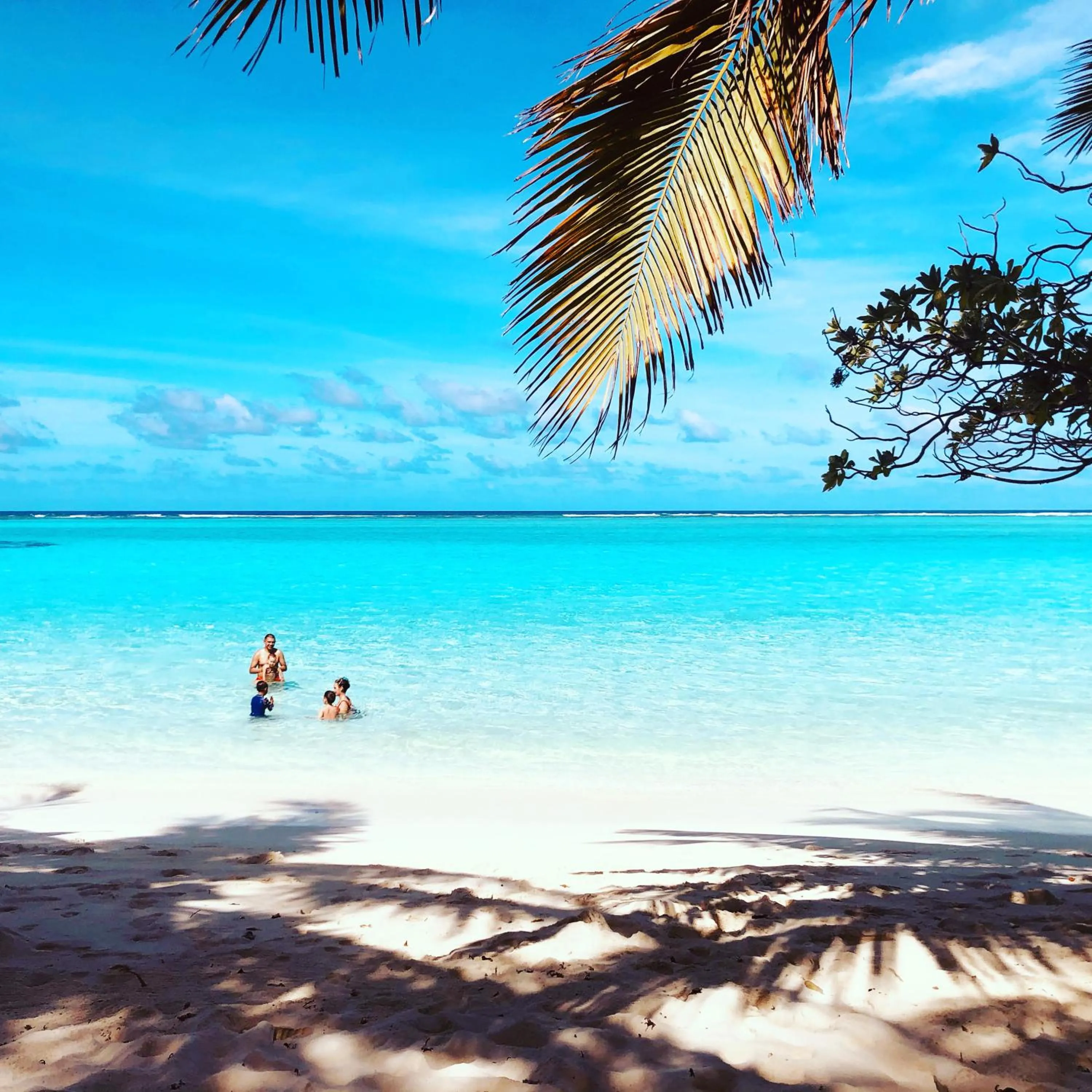 Natural landscape in Dacha Thoddoo