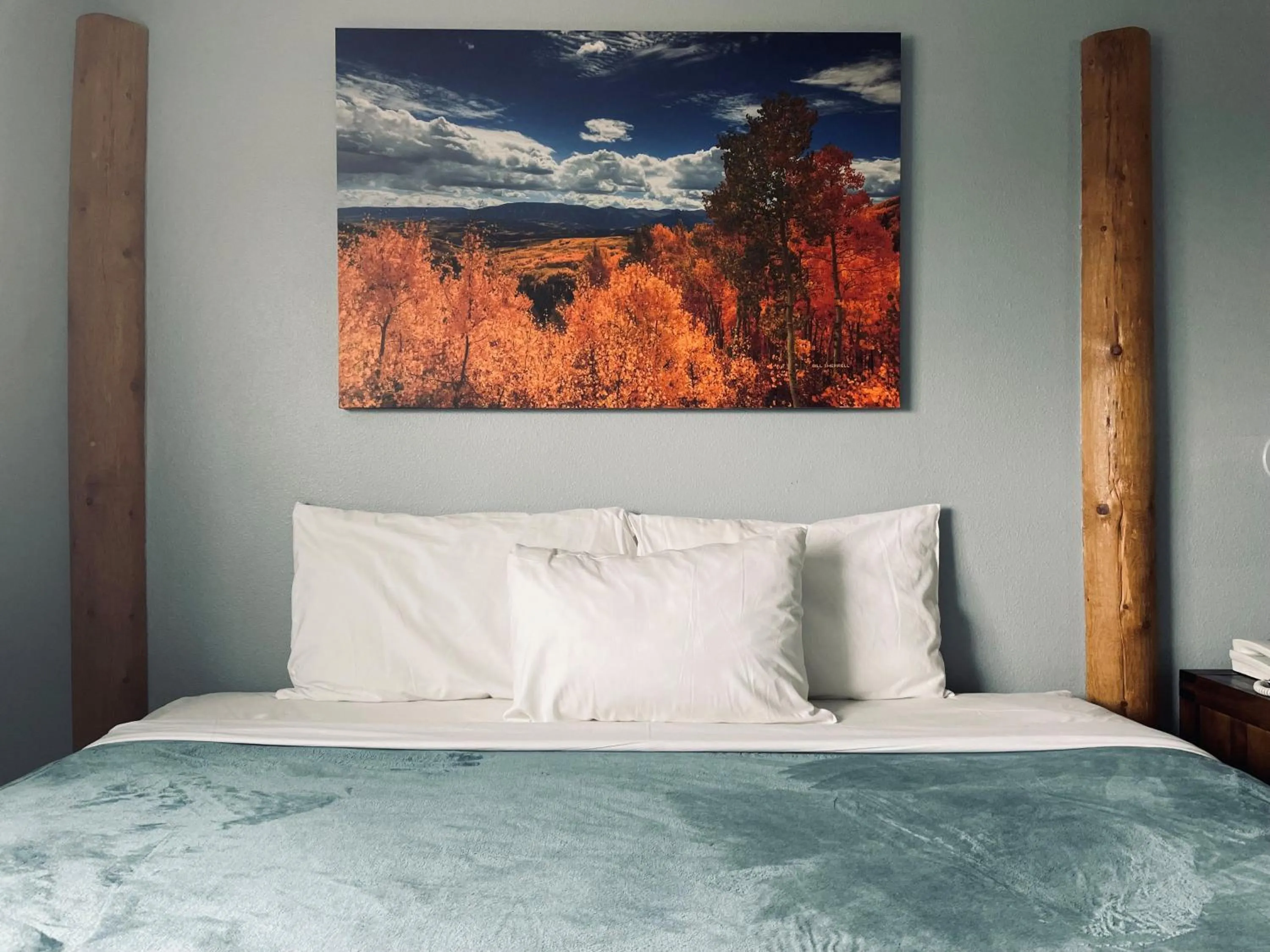 Bed in Golden Nugget Hotel & Casino