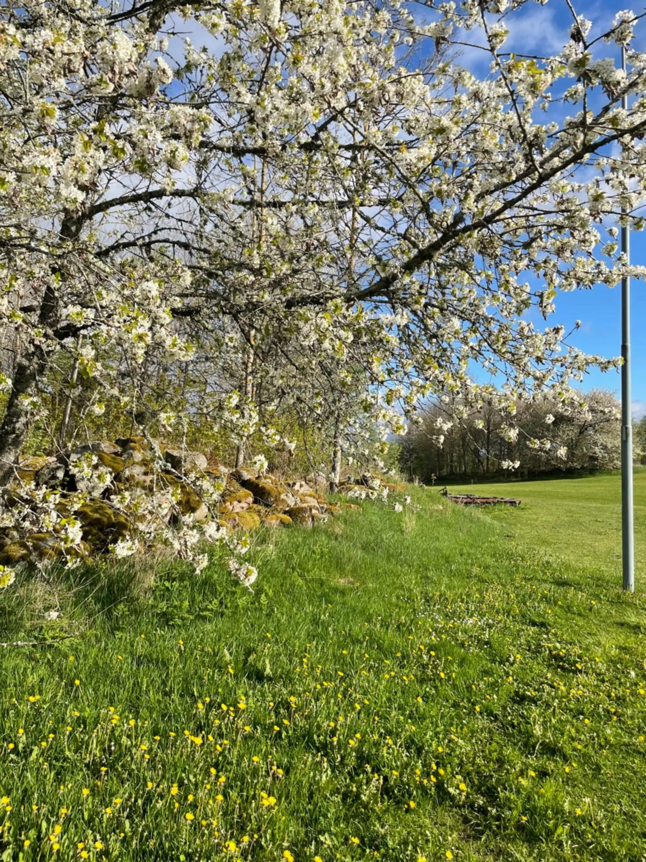 Hults-Boaryd Golf och B&B