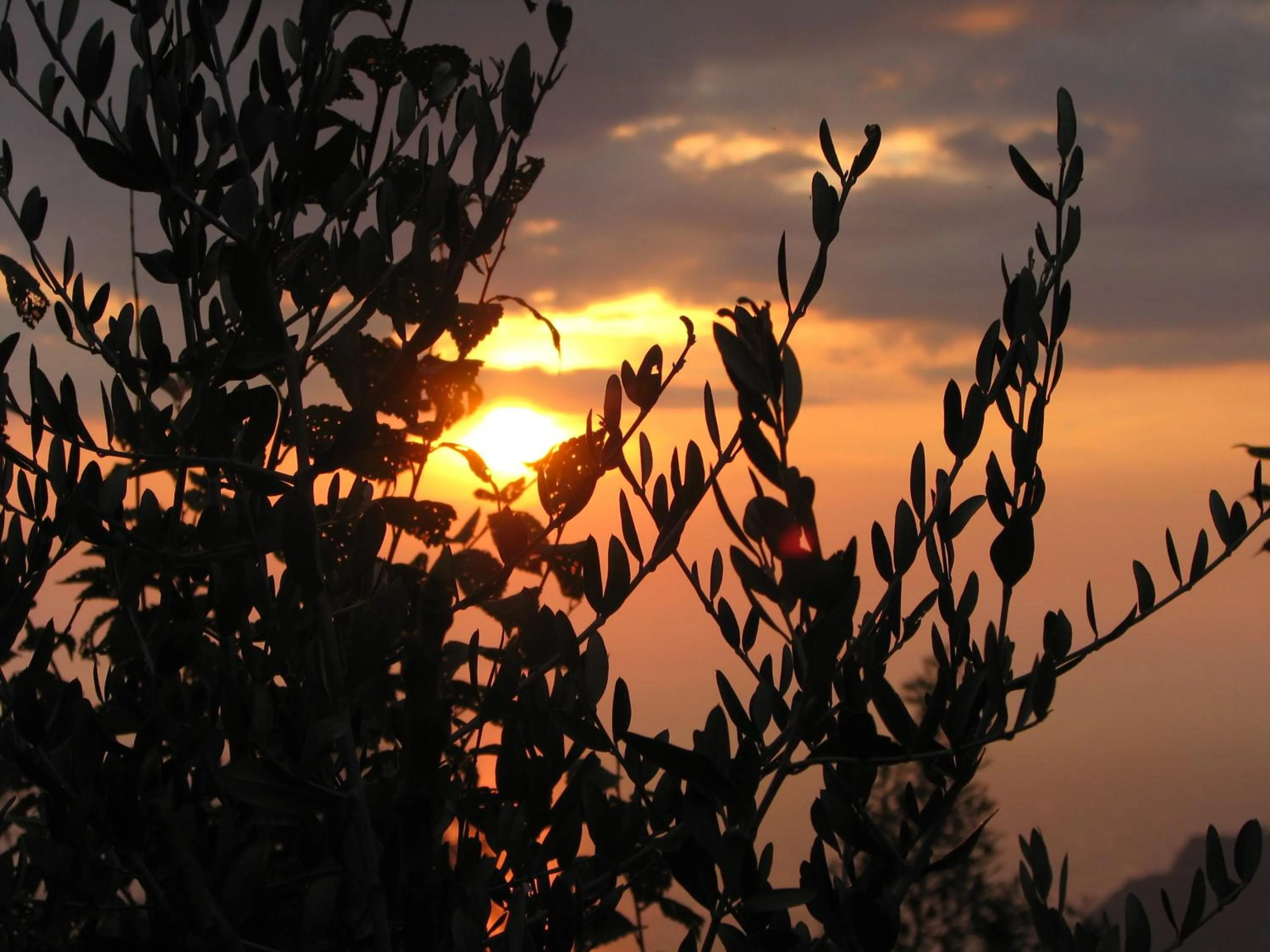 Facade/entrance in Cilento
