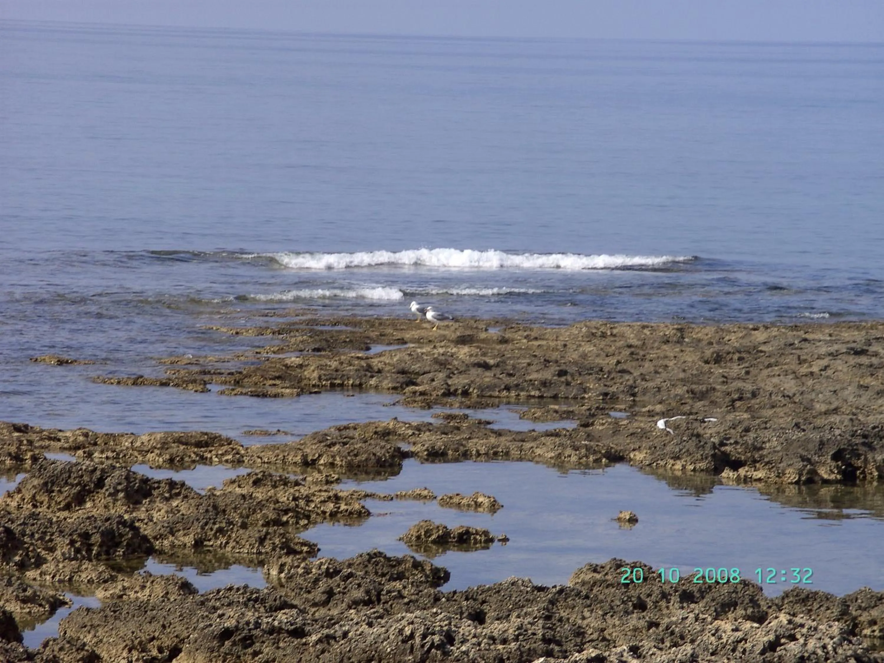 Area and facilities in Cilento