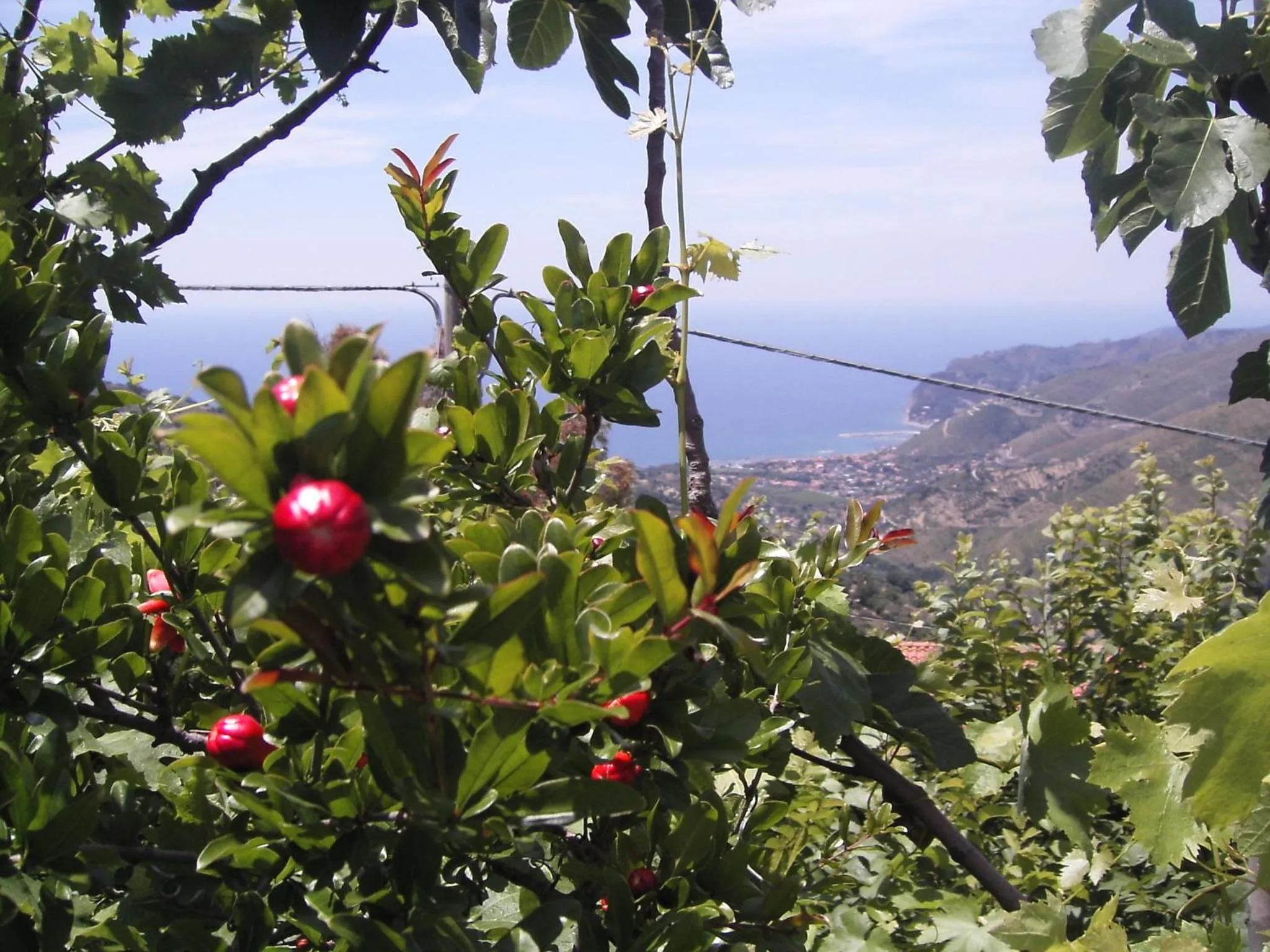 Facade/entrance in Cilento