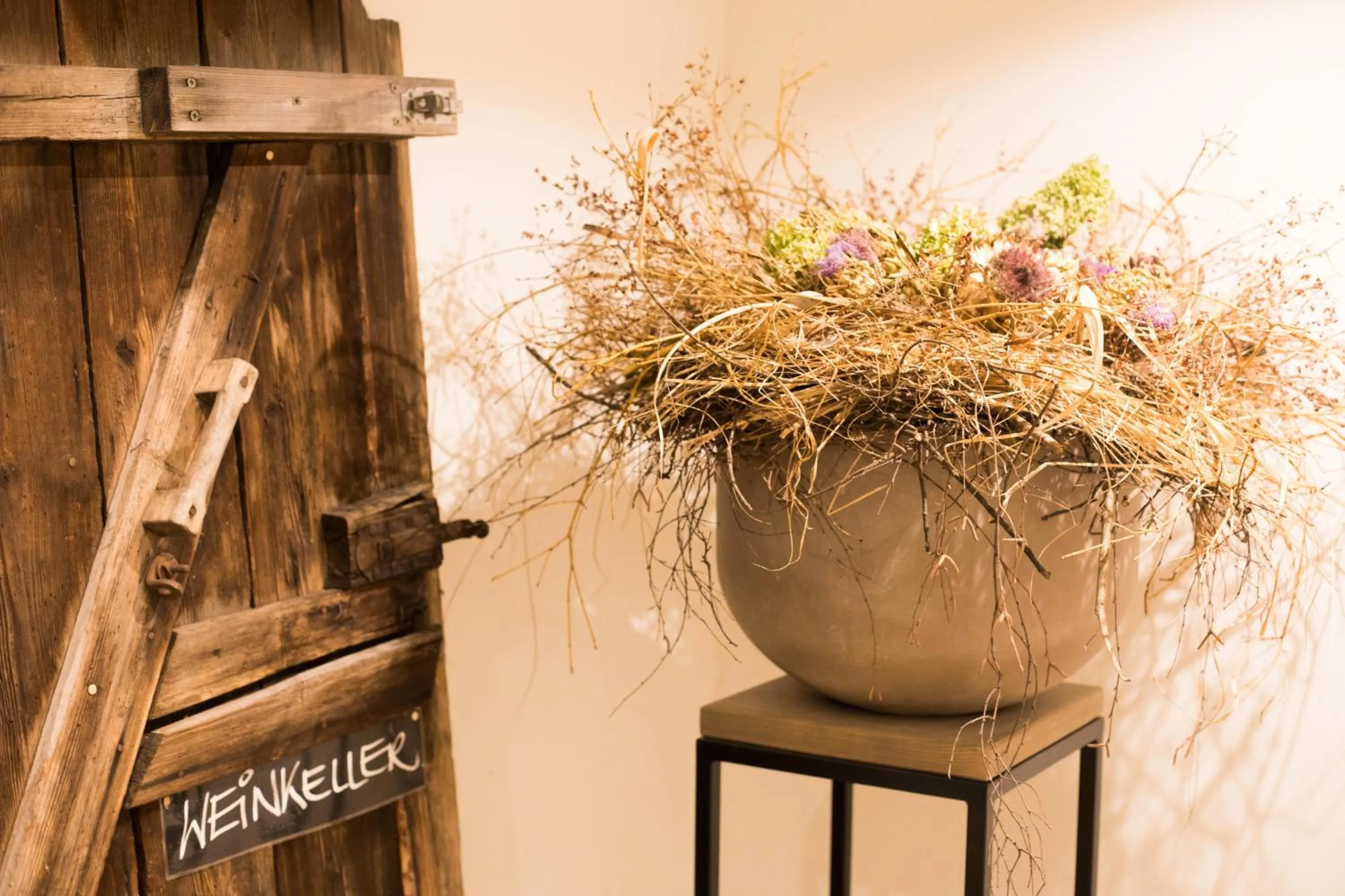 Area and facilities in Hotel Restaurant Mohren