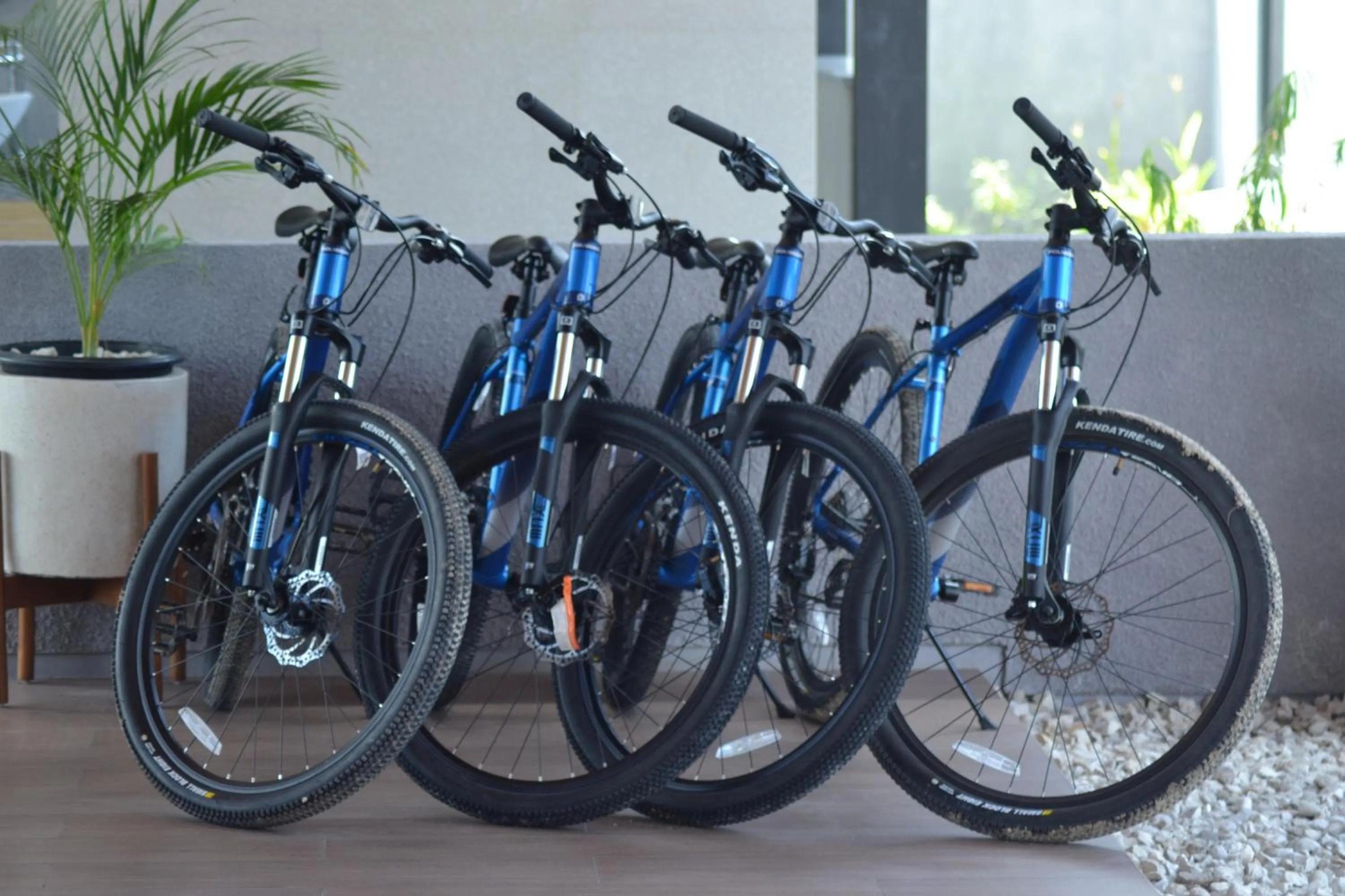 Cycling in Kambaniru Beach Hotel and Resort