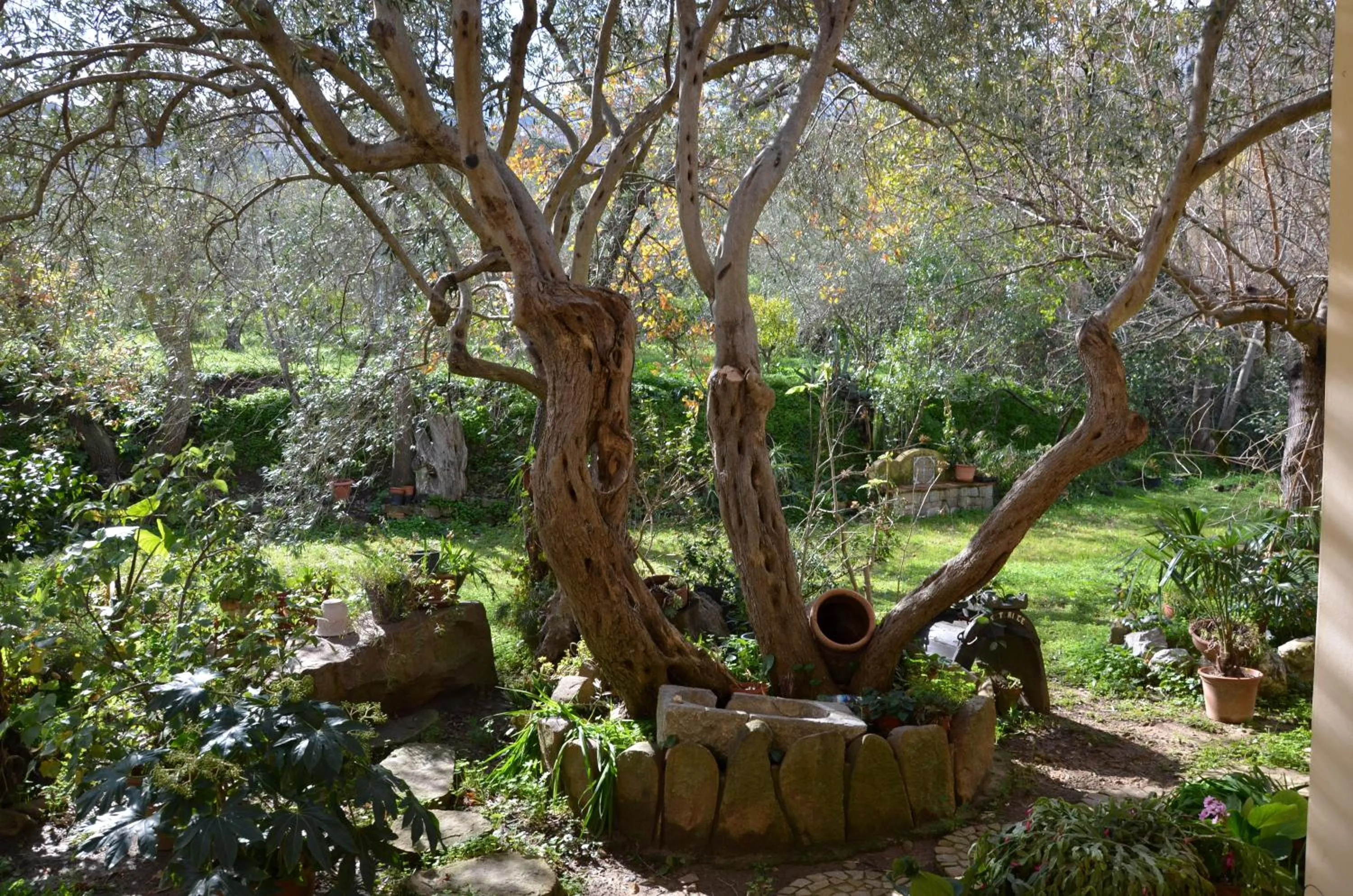 Garden in B&B Villa Calagioli