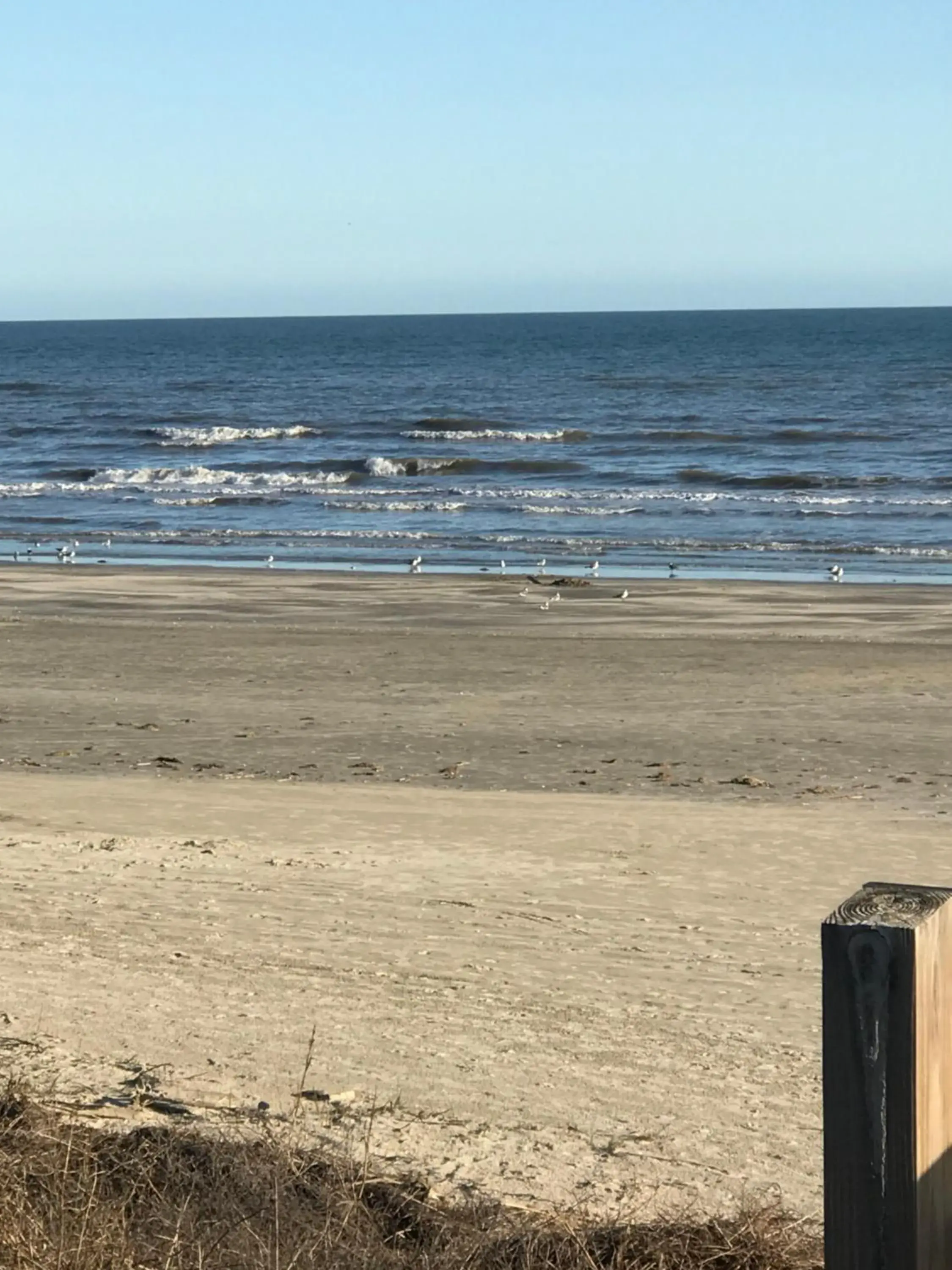 One-Bedroom Apartment in Holiday Inn Club Vacation Galveston Seaside Resort One-Bedroom Apartment in Holiday Inn Club Vacation Galveston Seaside Resort