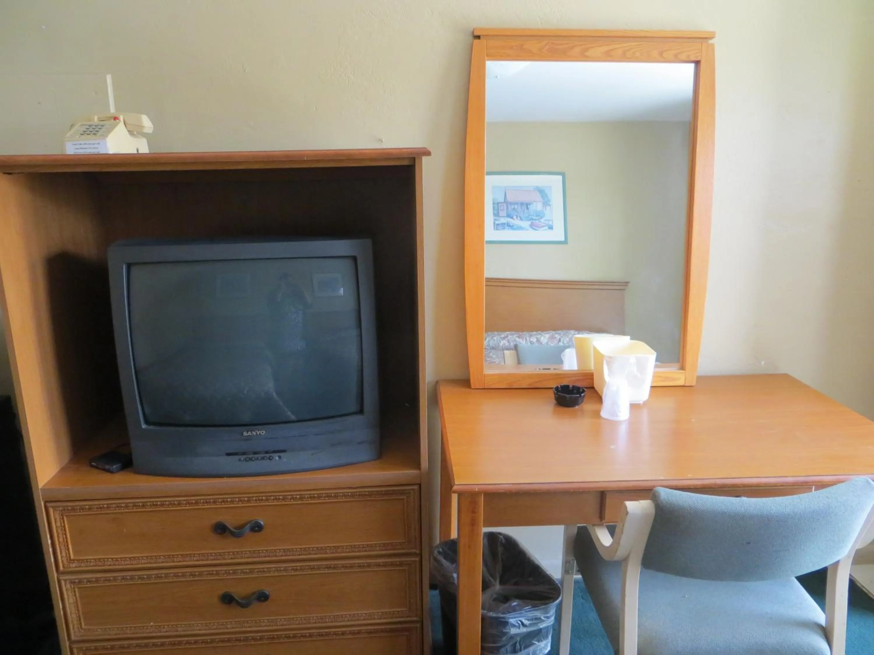 TV and multimedia in Country Lodge