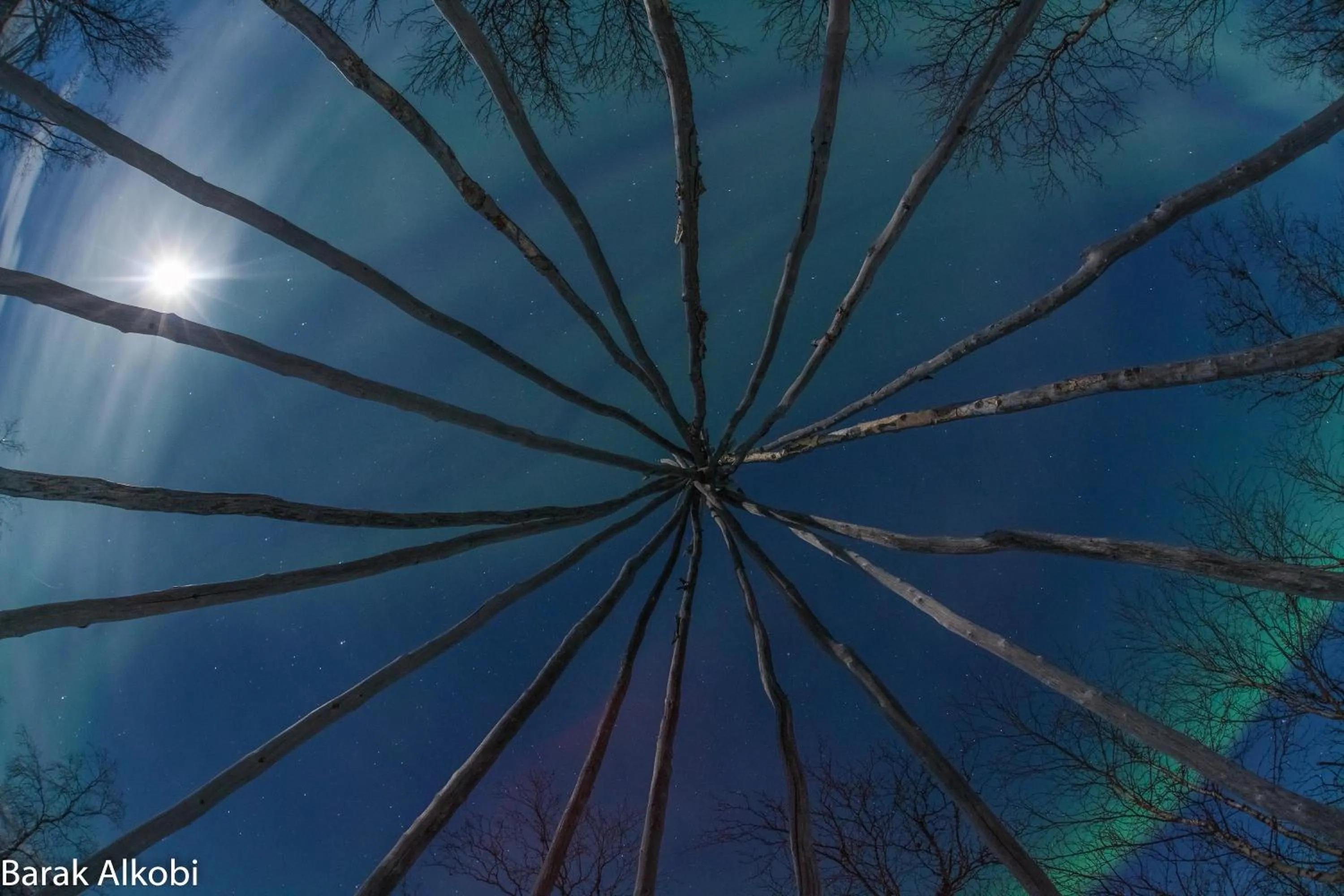 Activities in Abisko Guesthouse & Activities