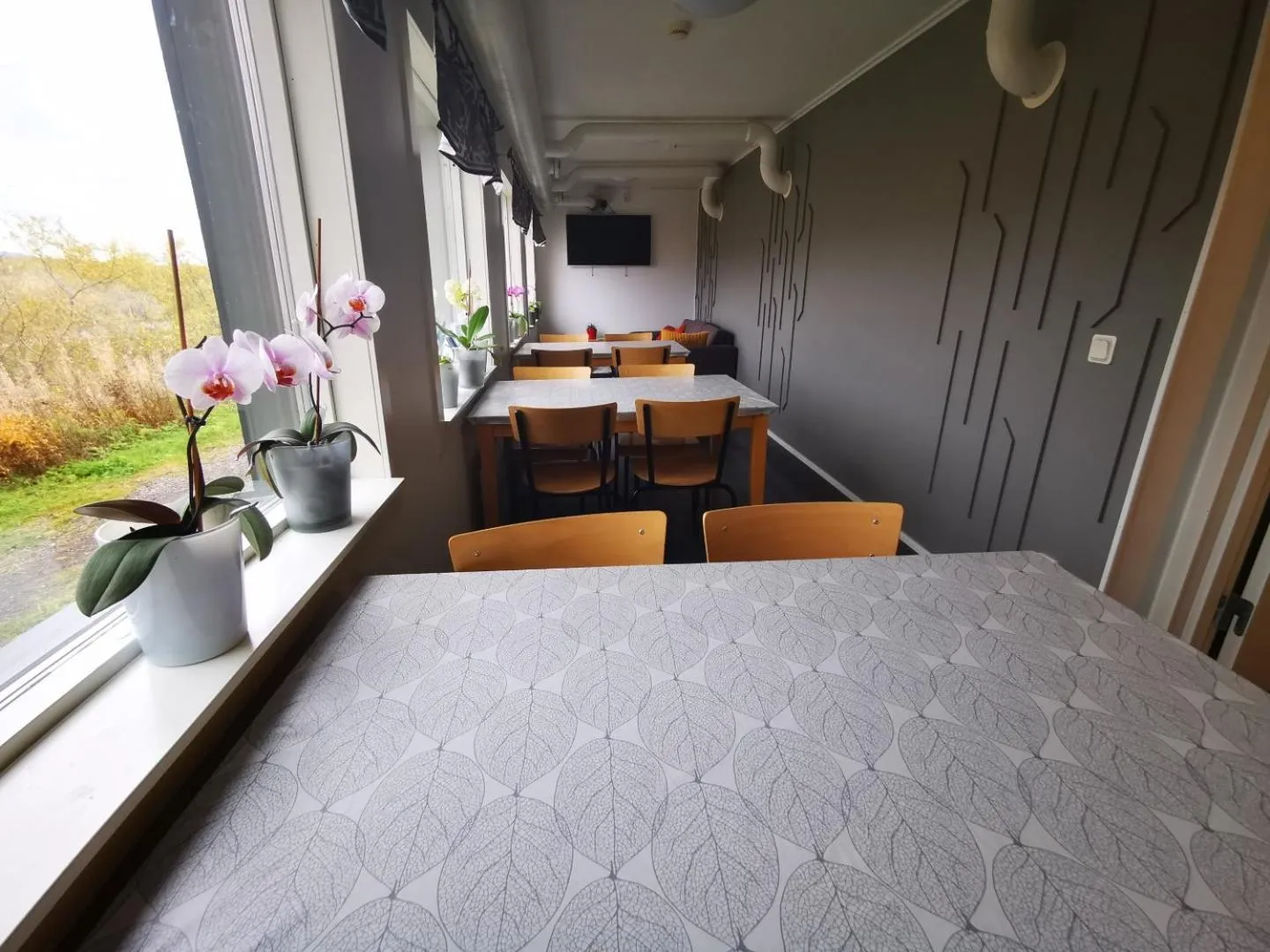 Abisko Guesthouse & Activities