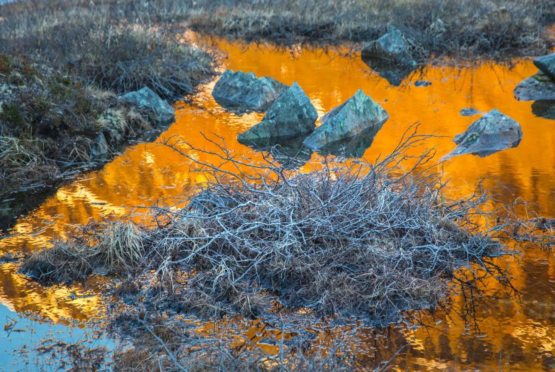 Other in Abisko Guesthouse & Activities