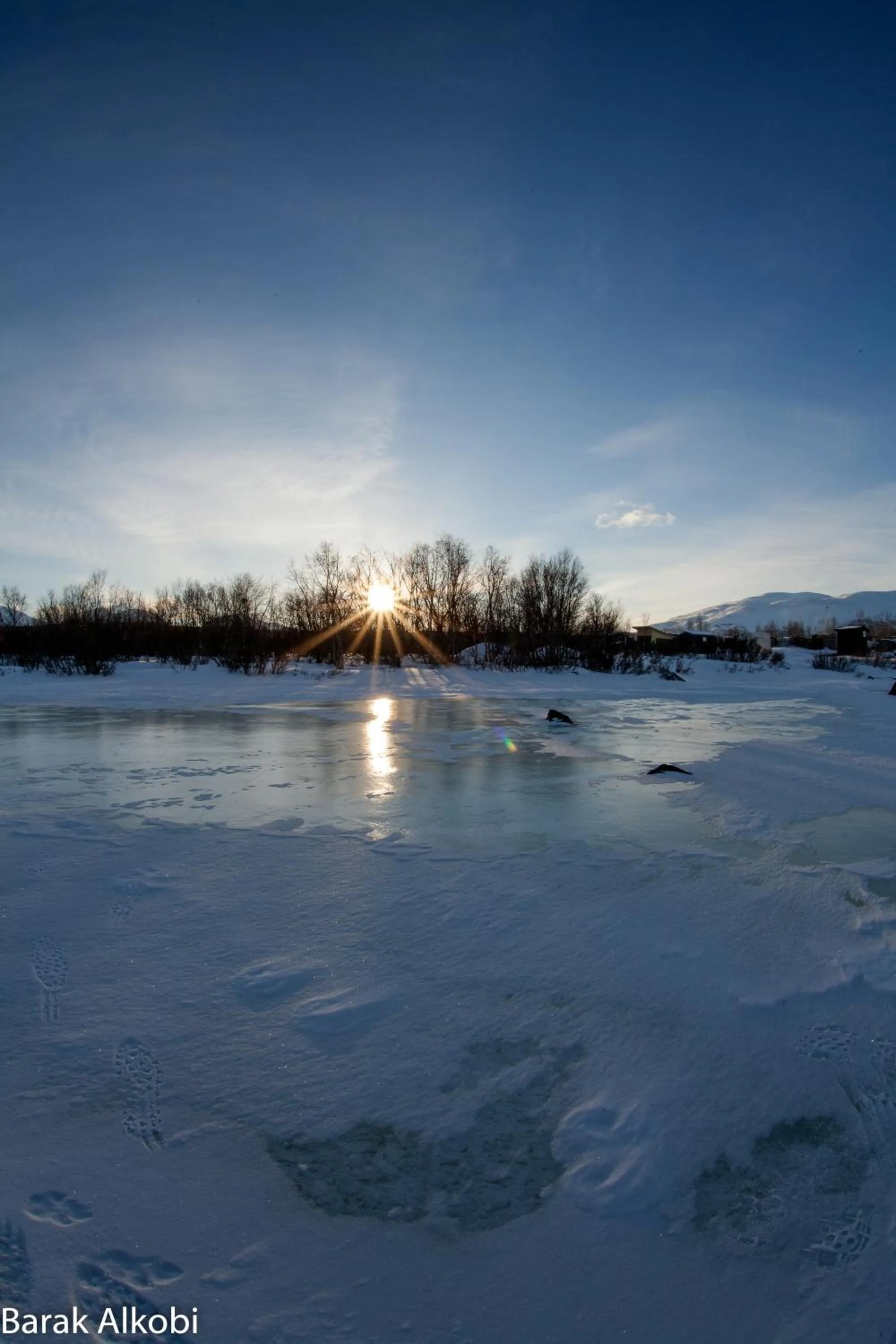 Winter in Abisko Guesthouse & Activities