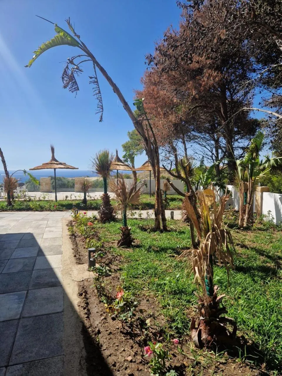 Day in Mnar Park aqua park