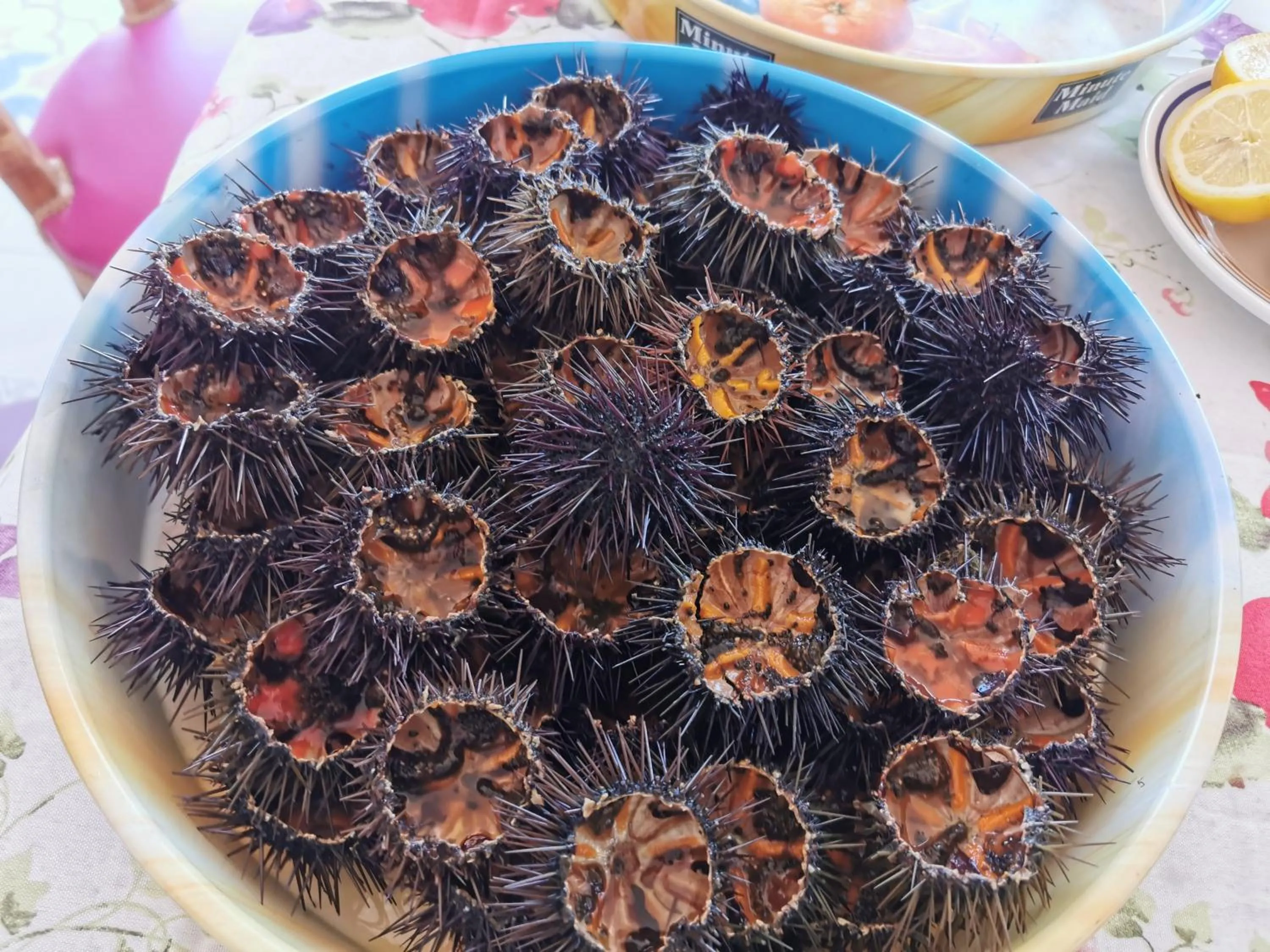 Food in Made in Sicily Santa Tecla