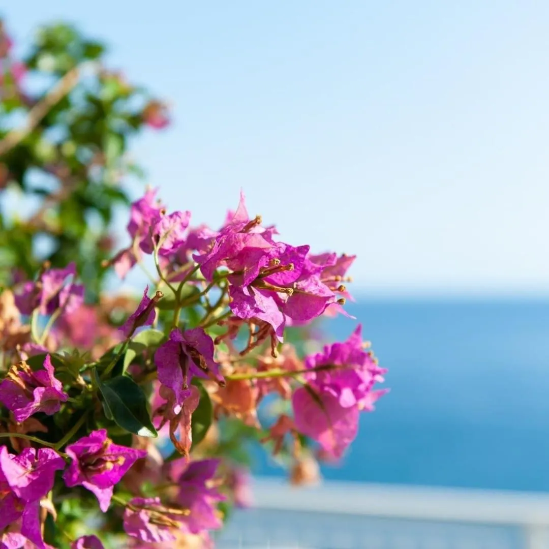 Natural landscape in Made in Sicily Santa Tecla