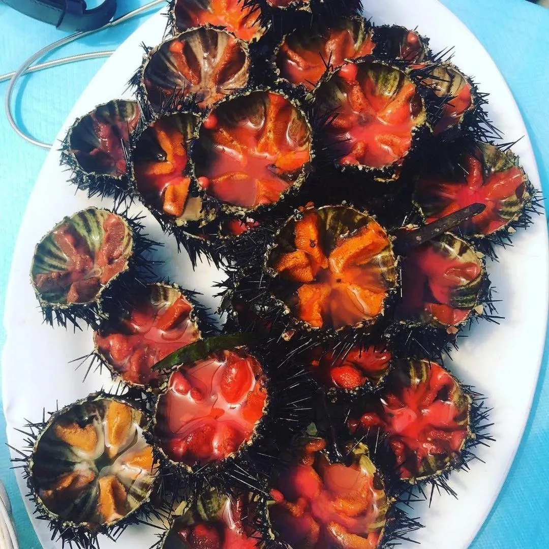 Food in Made in Sicily Santa Tecla