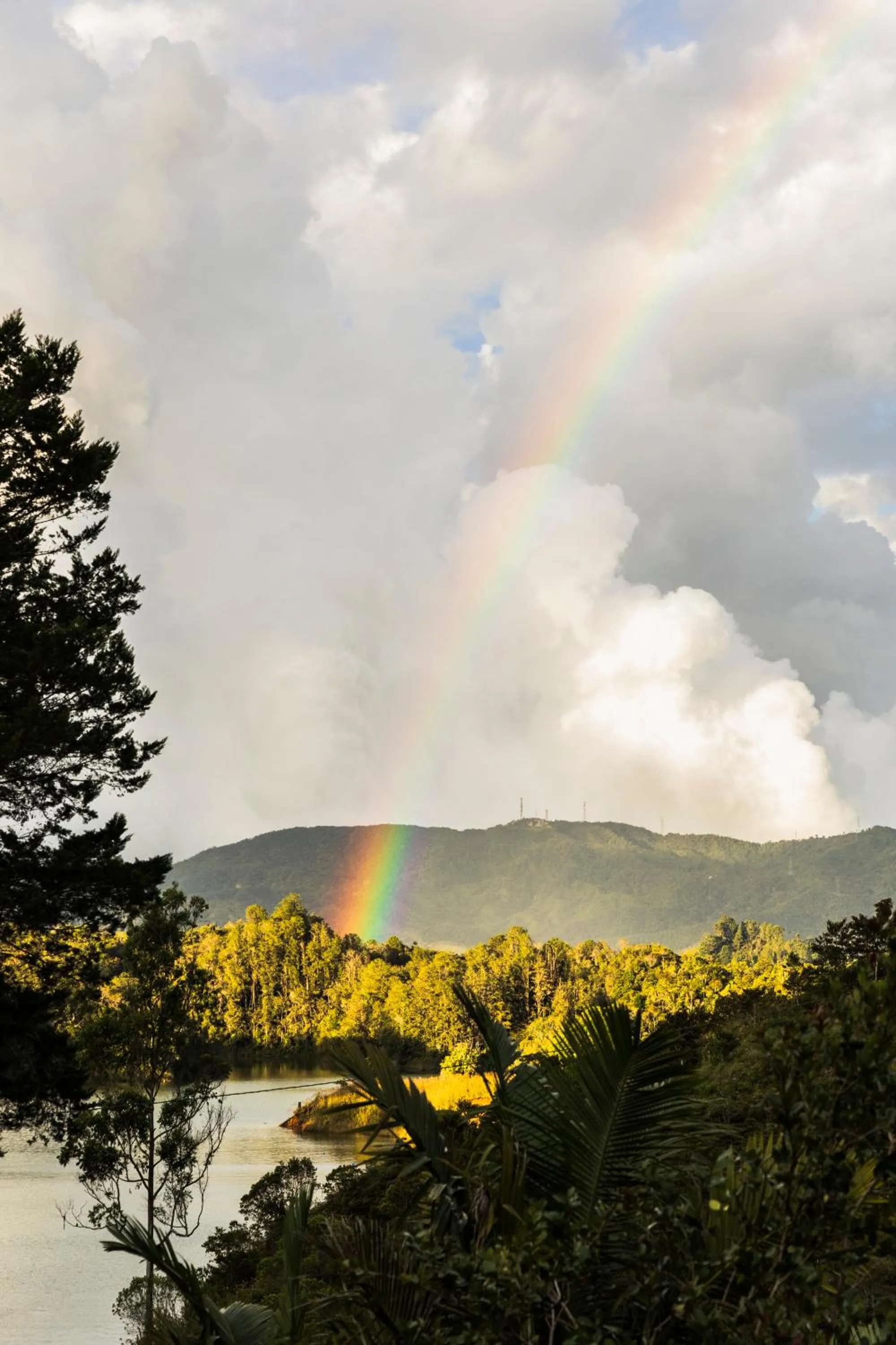 Natural landscape in Hotel Bahia Del Faro