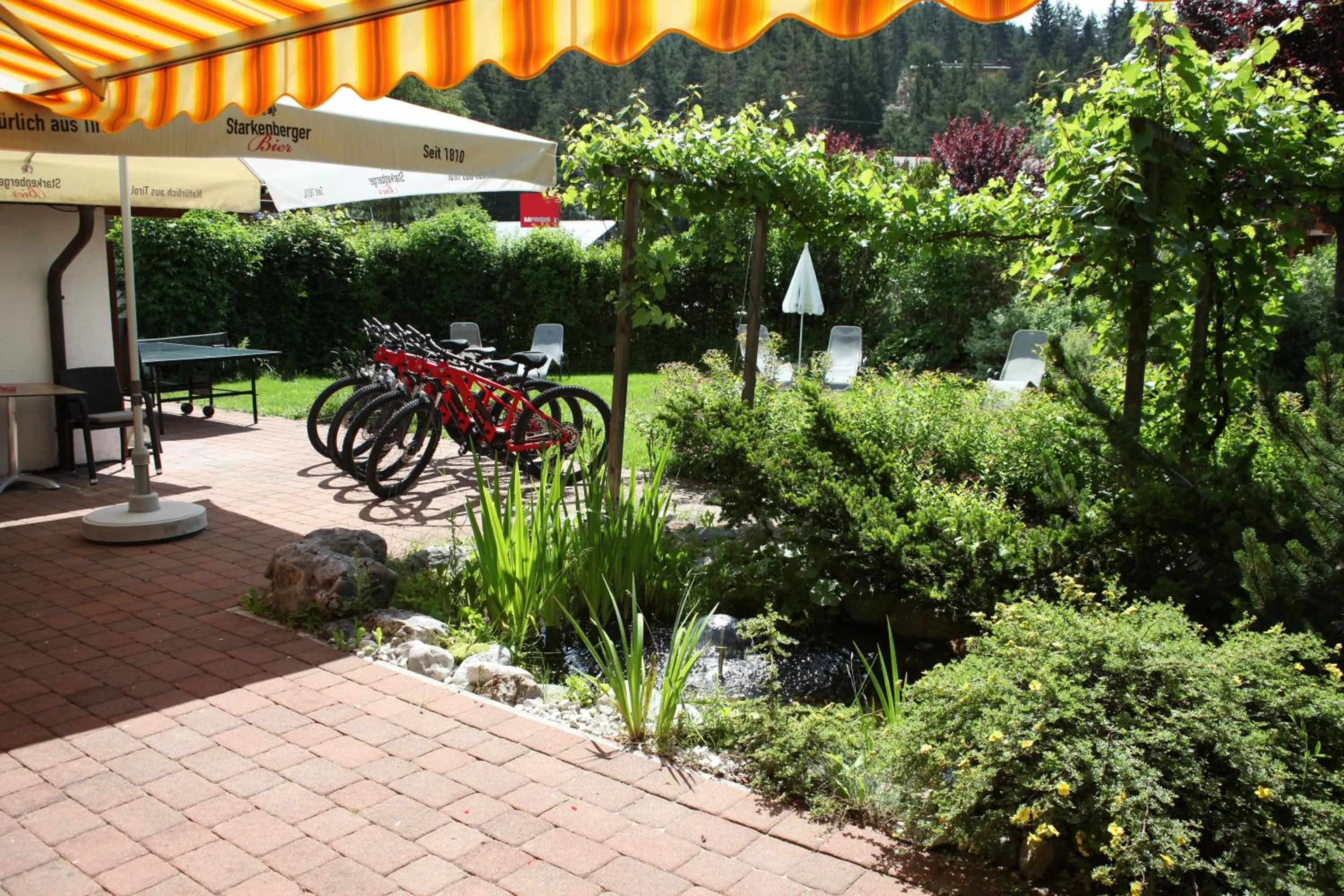 Cycling in Bergfrieden Leutasch/Seefeld