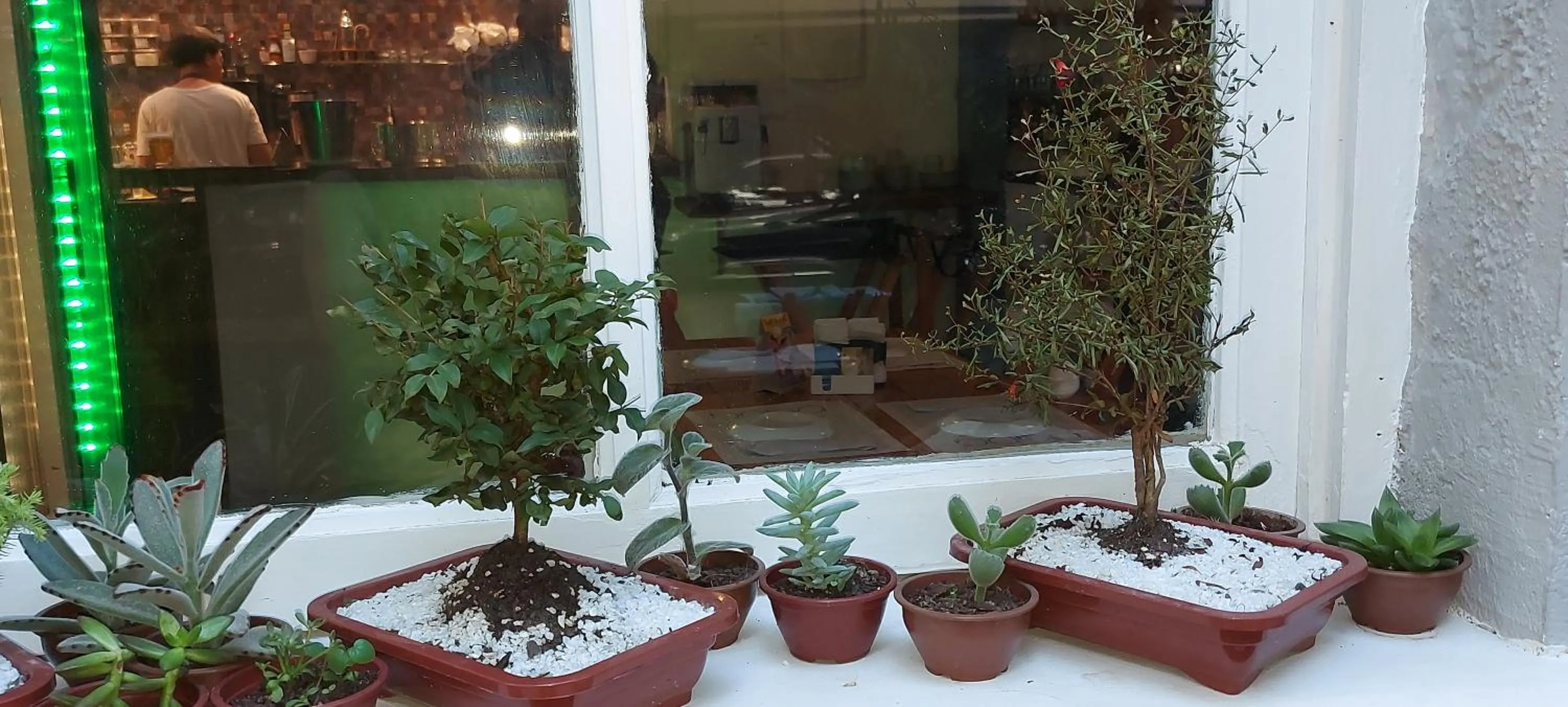 Lounge or bar in Hostel Leblon