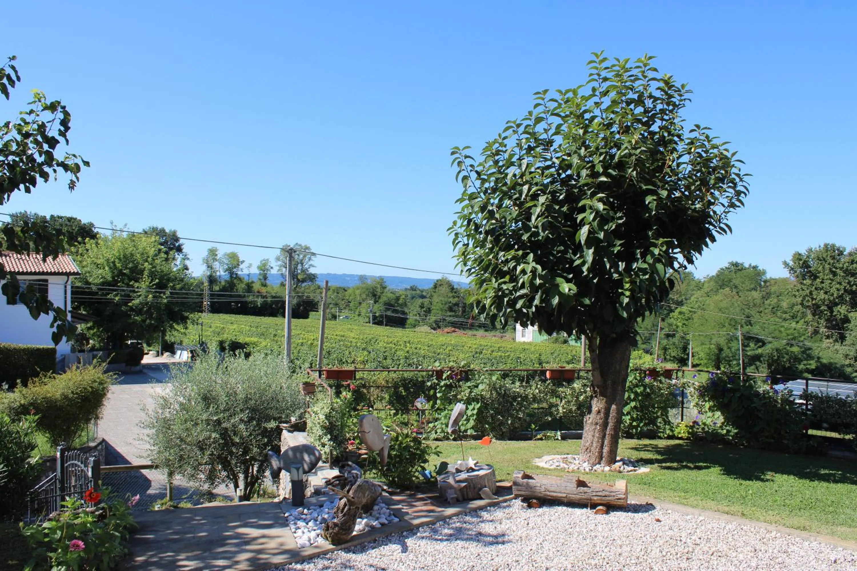 View (from property/room) in Giuliva B&B