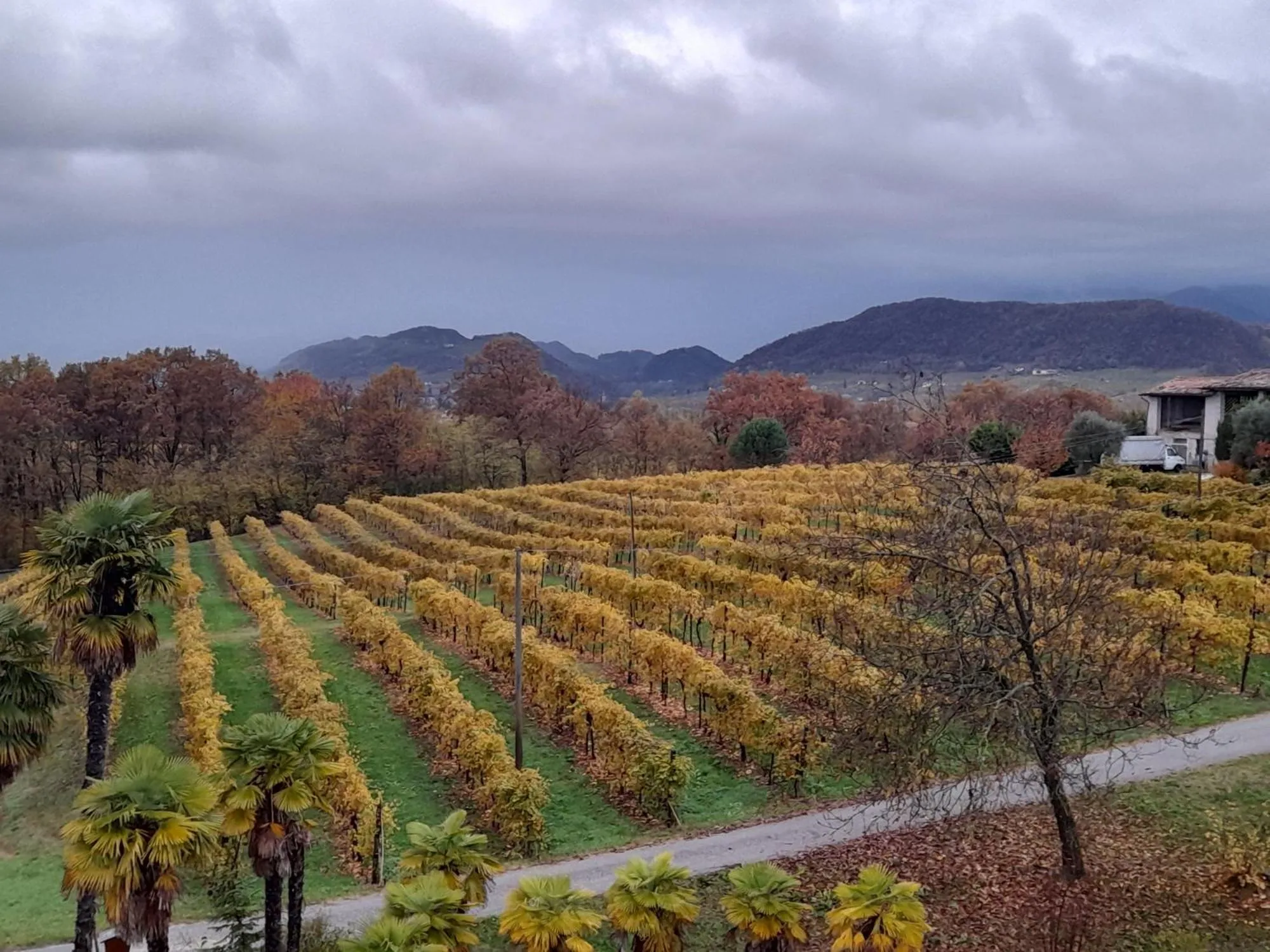 Natural landscape in Giuliva B&B