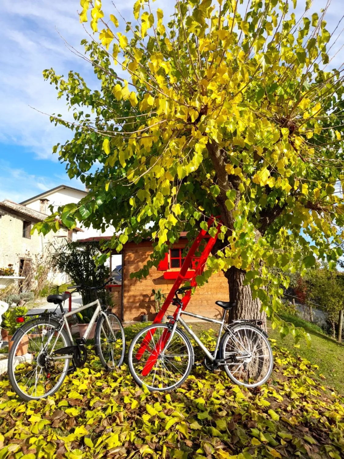 Garden in Giuliva B&B