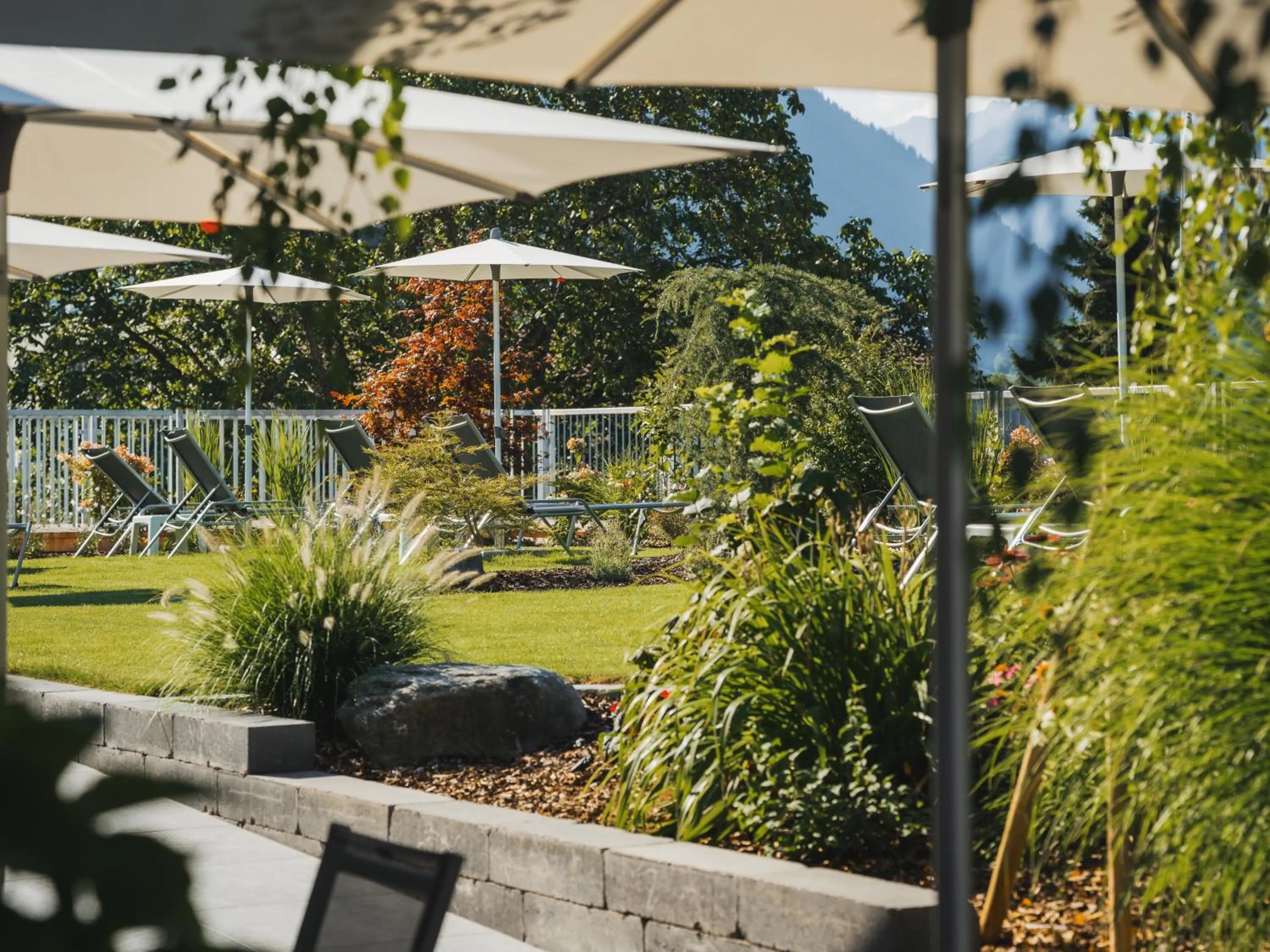 sunbed in Hotel Zimba