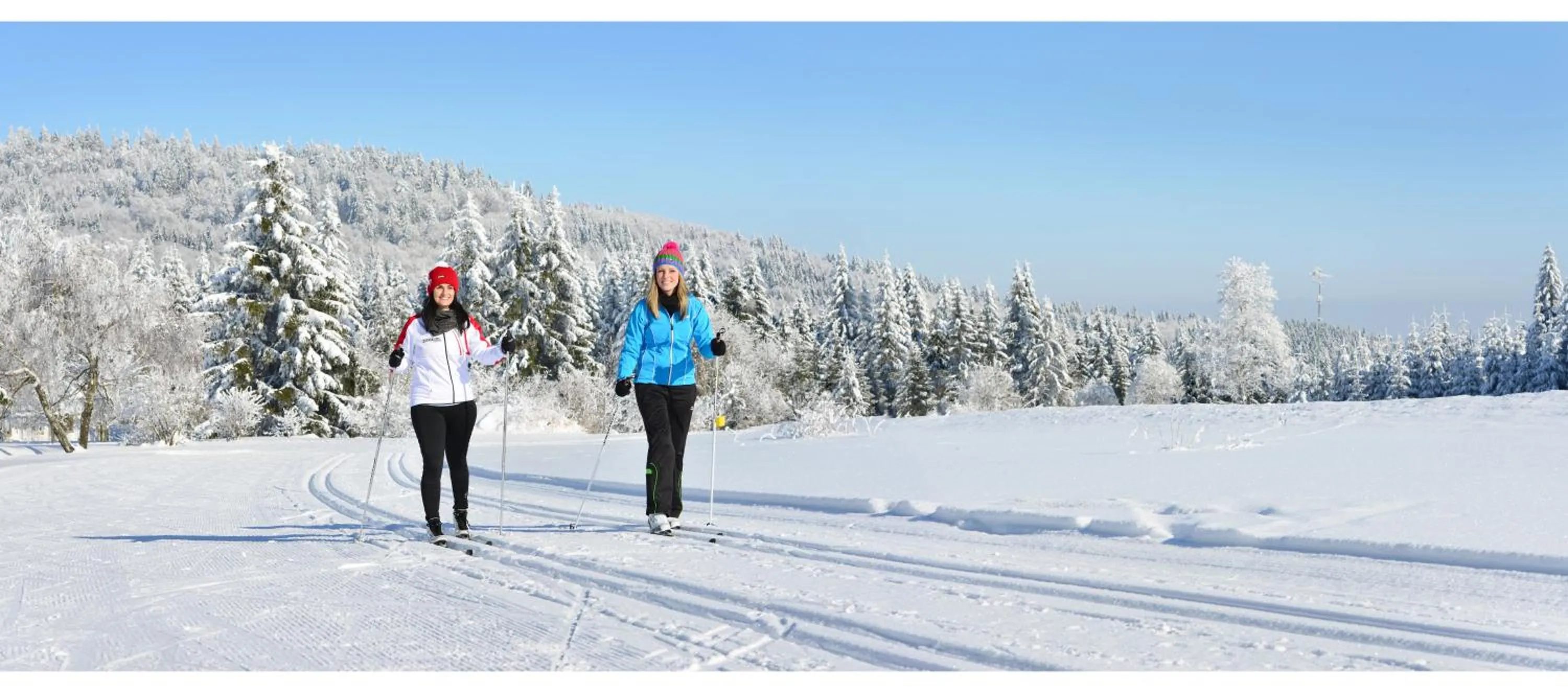 Skiing in Ferienhaus Grobauer