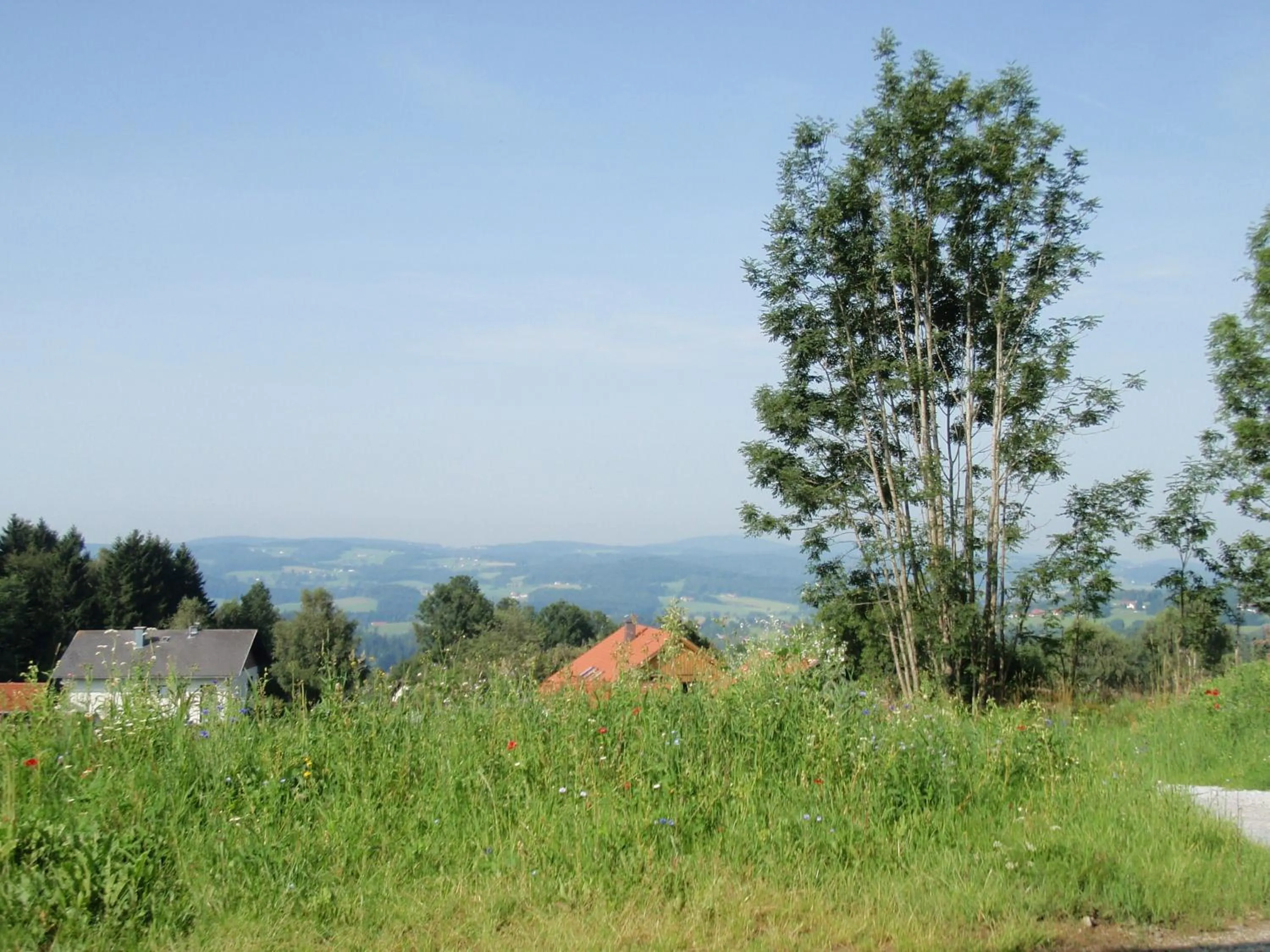 View (from property/room) in Ferienhaus Grobauer
