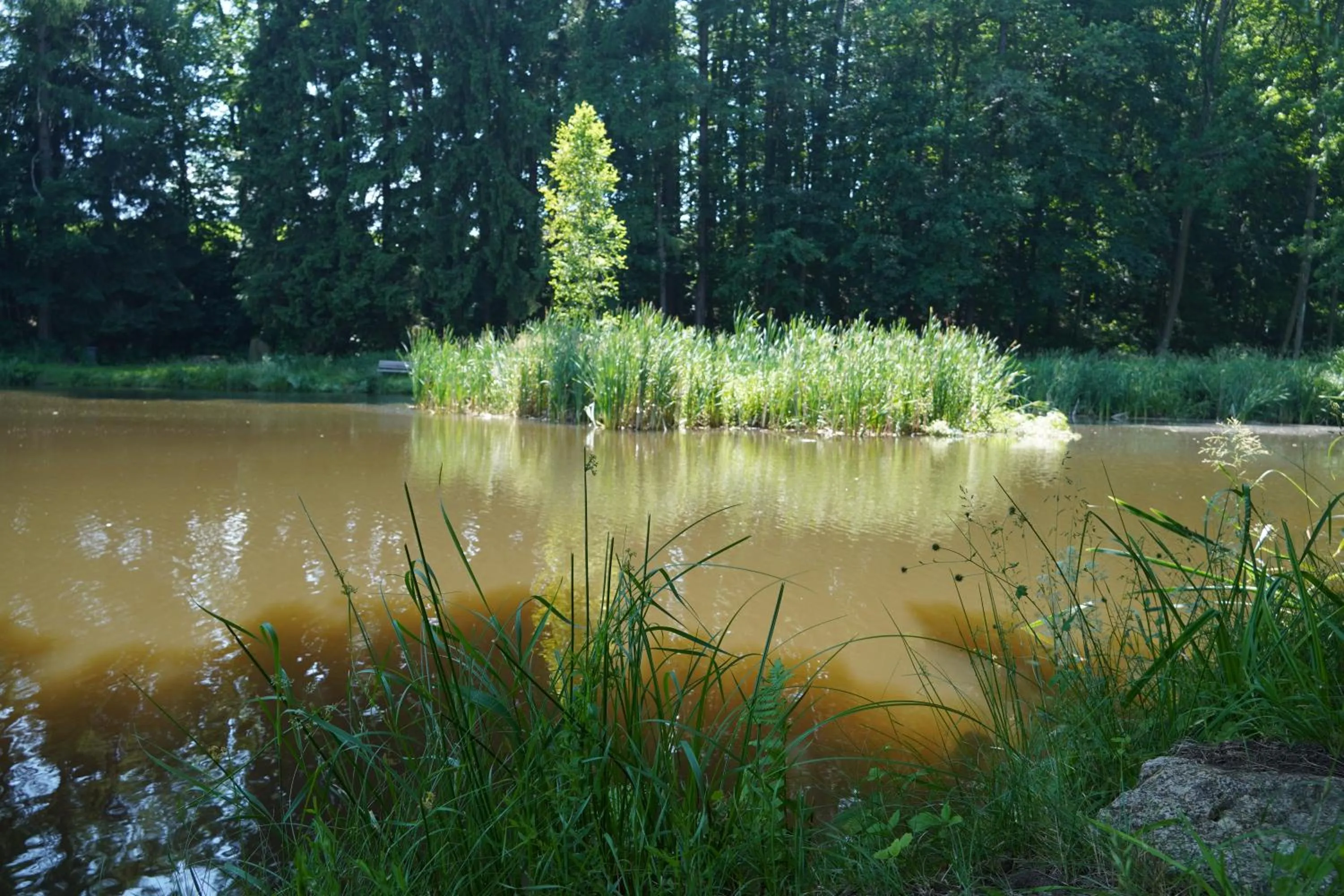 Natural landscape in Schlosshotel Rosenau Superior
