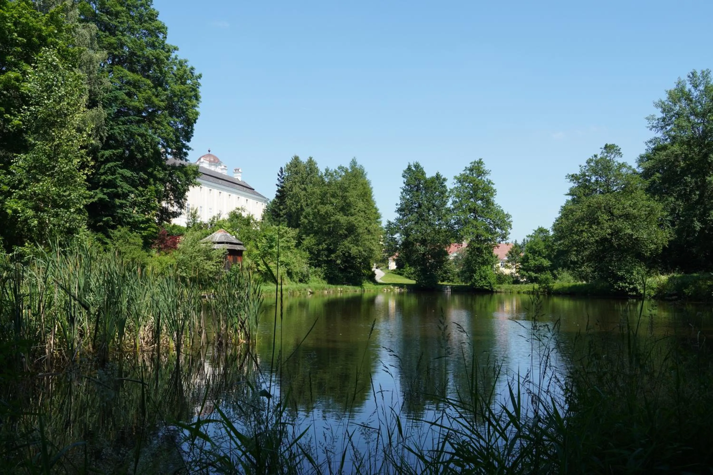 Natural landscape in Schlosshotel Rosenau Superior