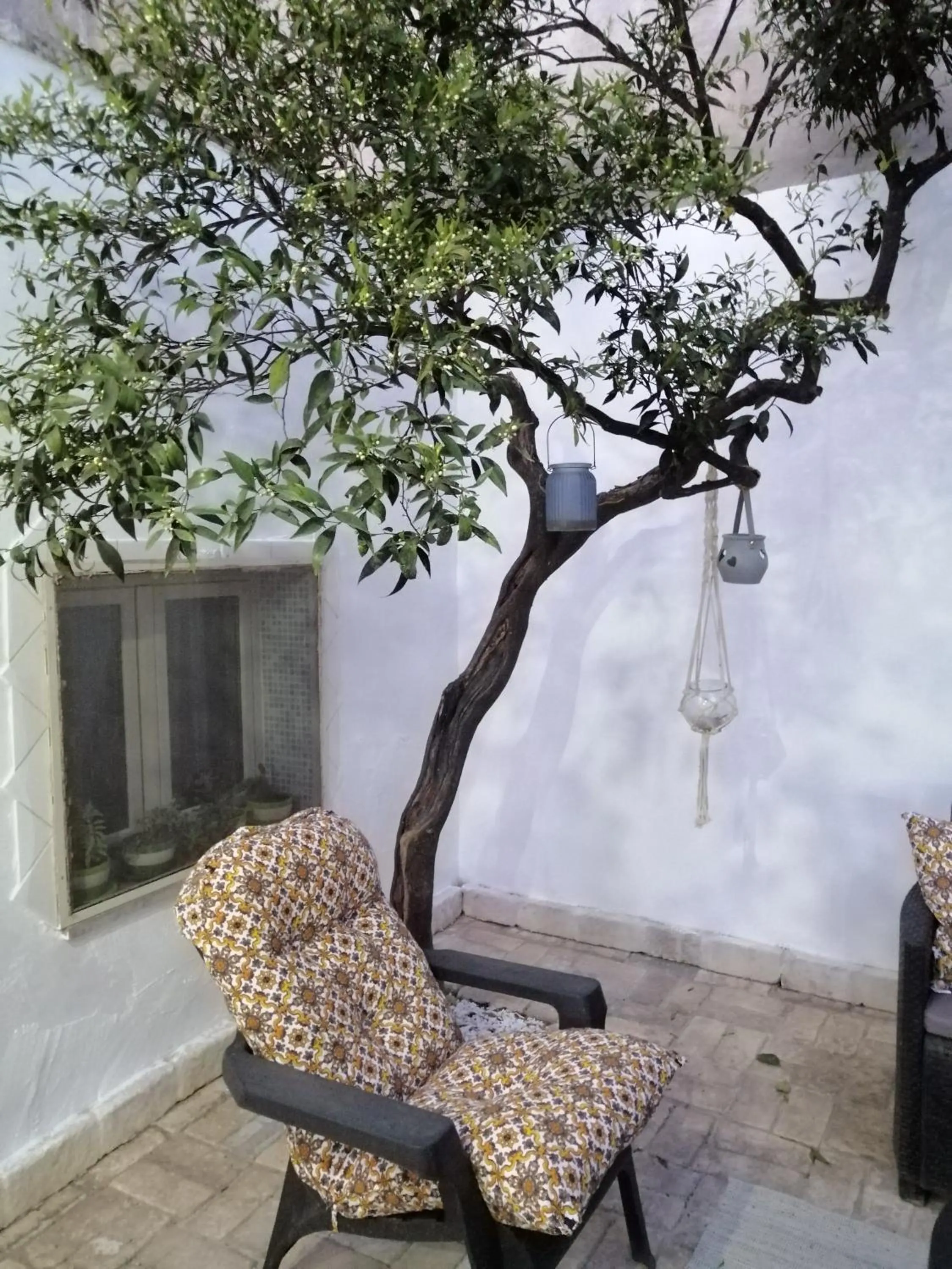 Sud Est Bed And Breakfast Salento