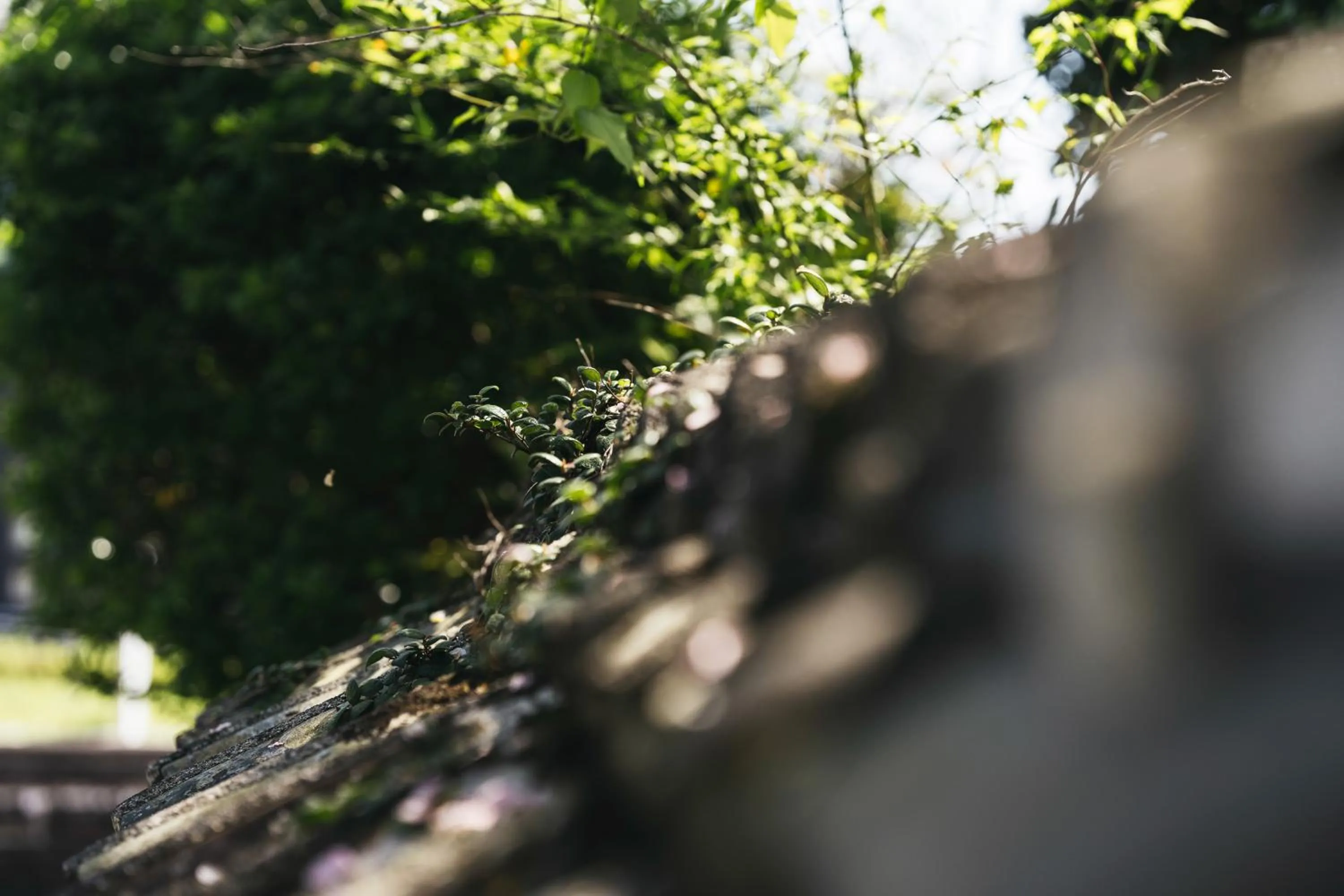 Decorative detail in PAAK Hotel