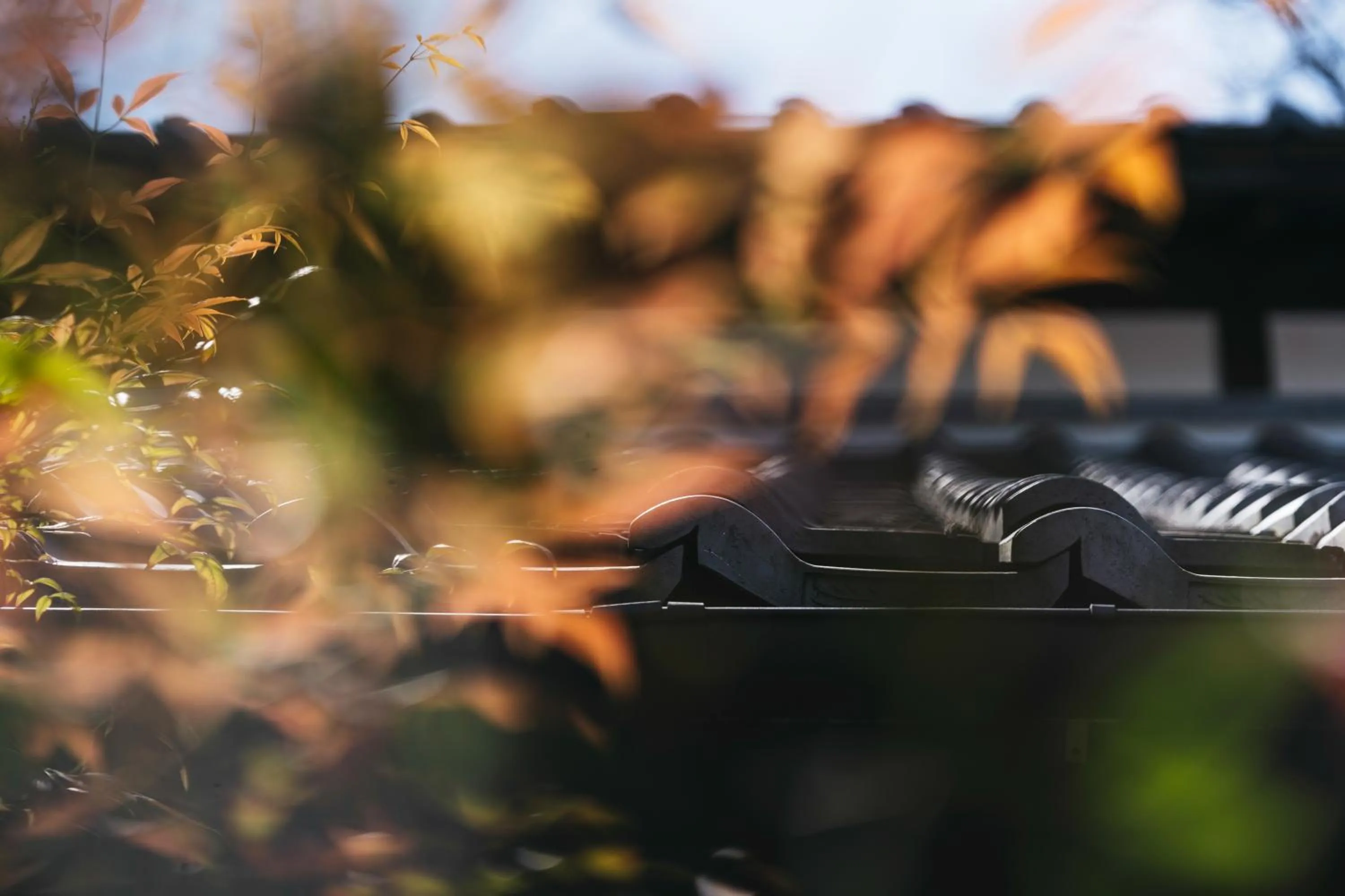 Decorative detail in PAAK Hotel