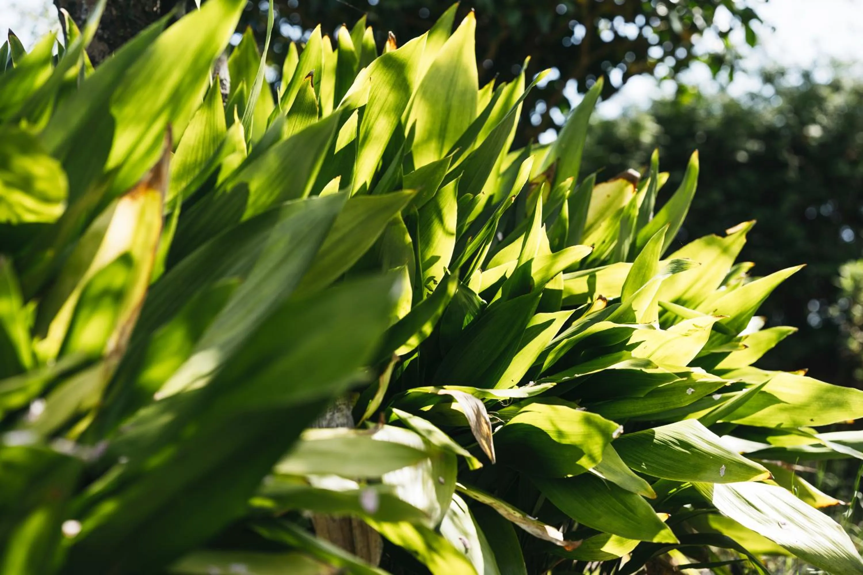 Decorative detail in PAAK Hotel