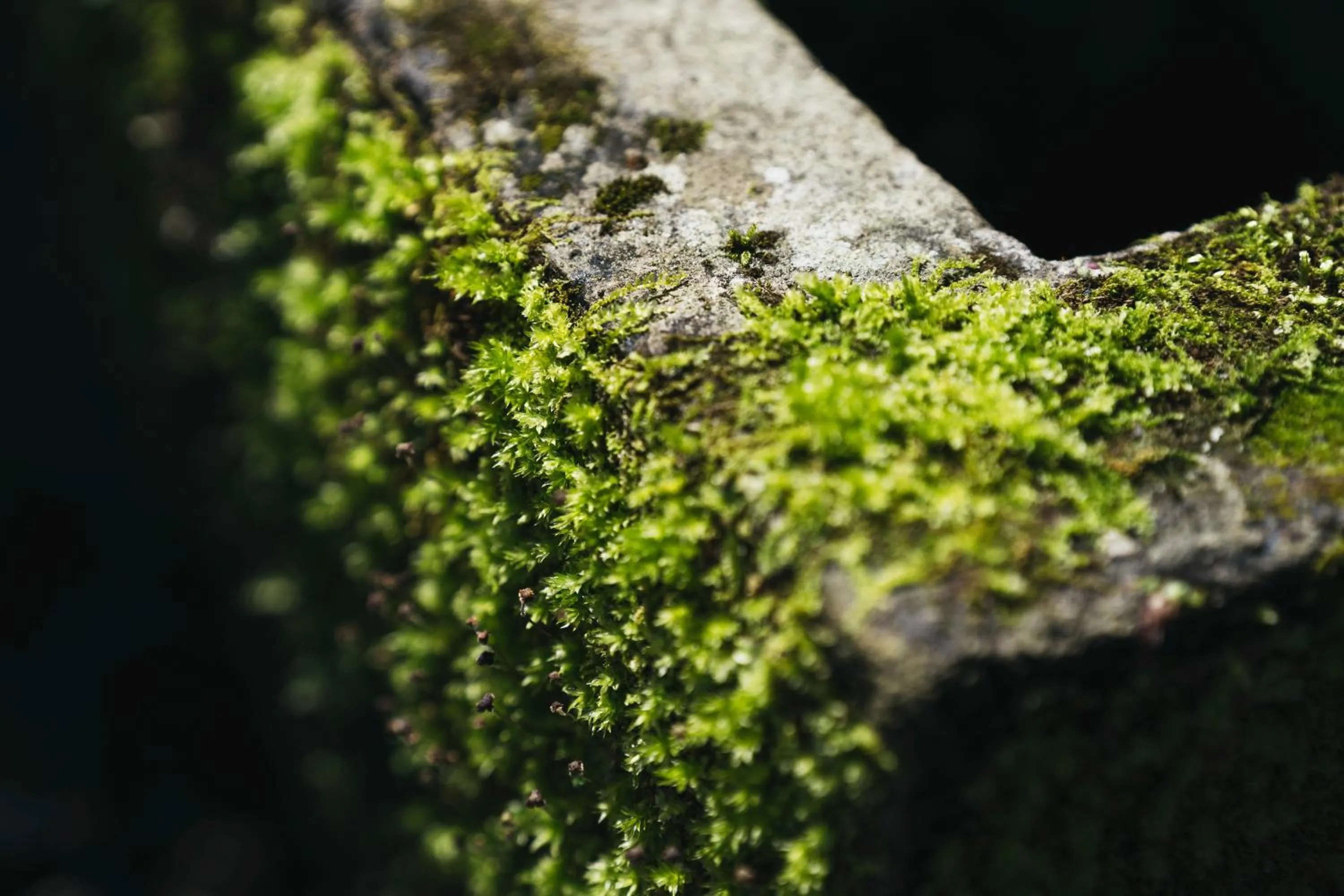 Decorative detail in PAAK Hotel