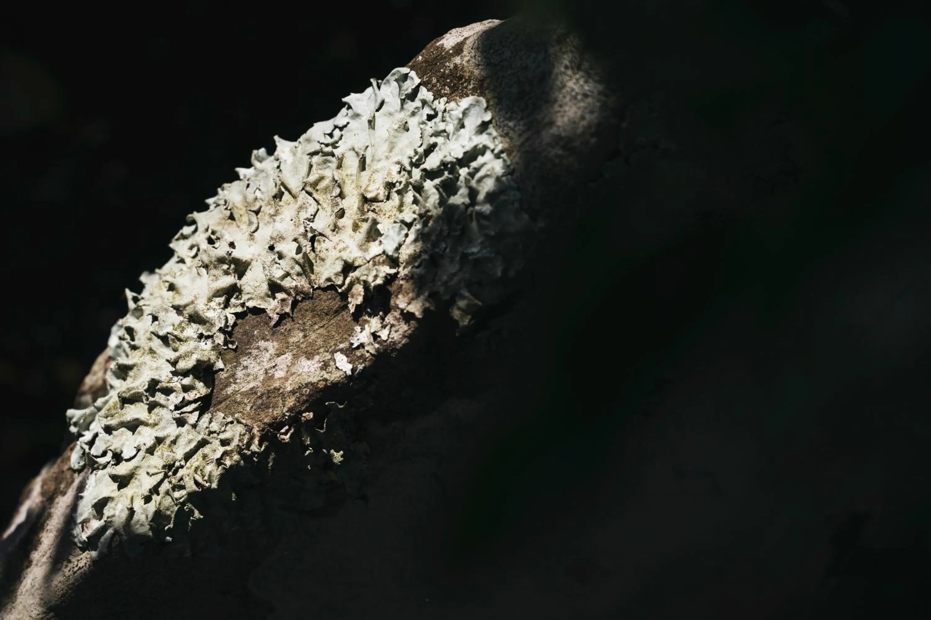 Decorative detail in PAAK Hotel