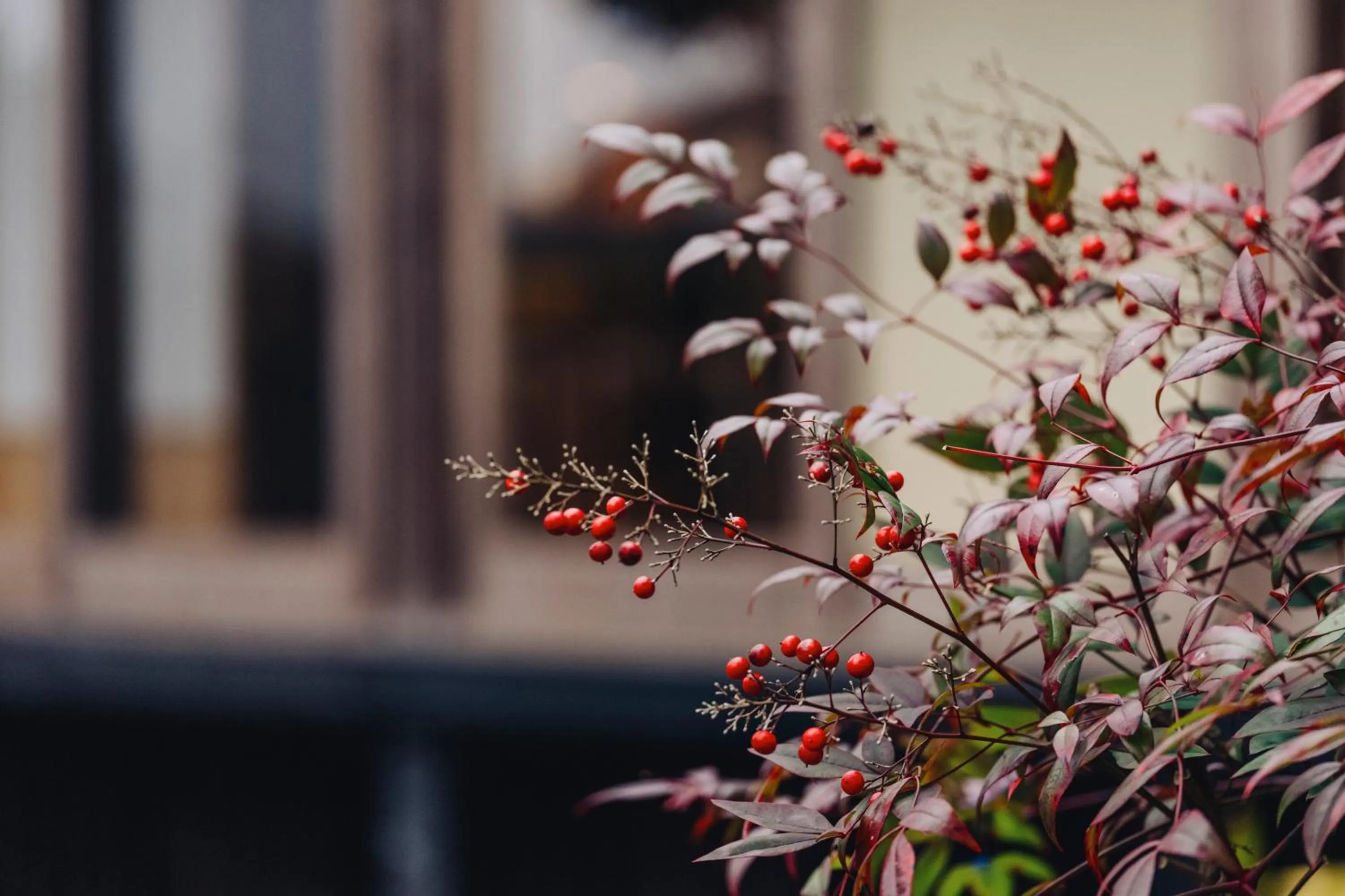 Decorative detail in PAAK Hotel