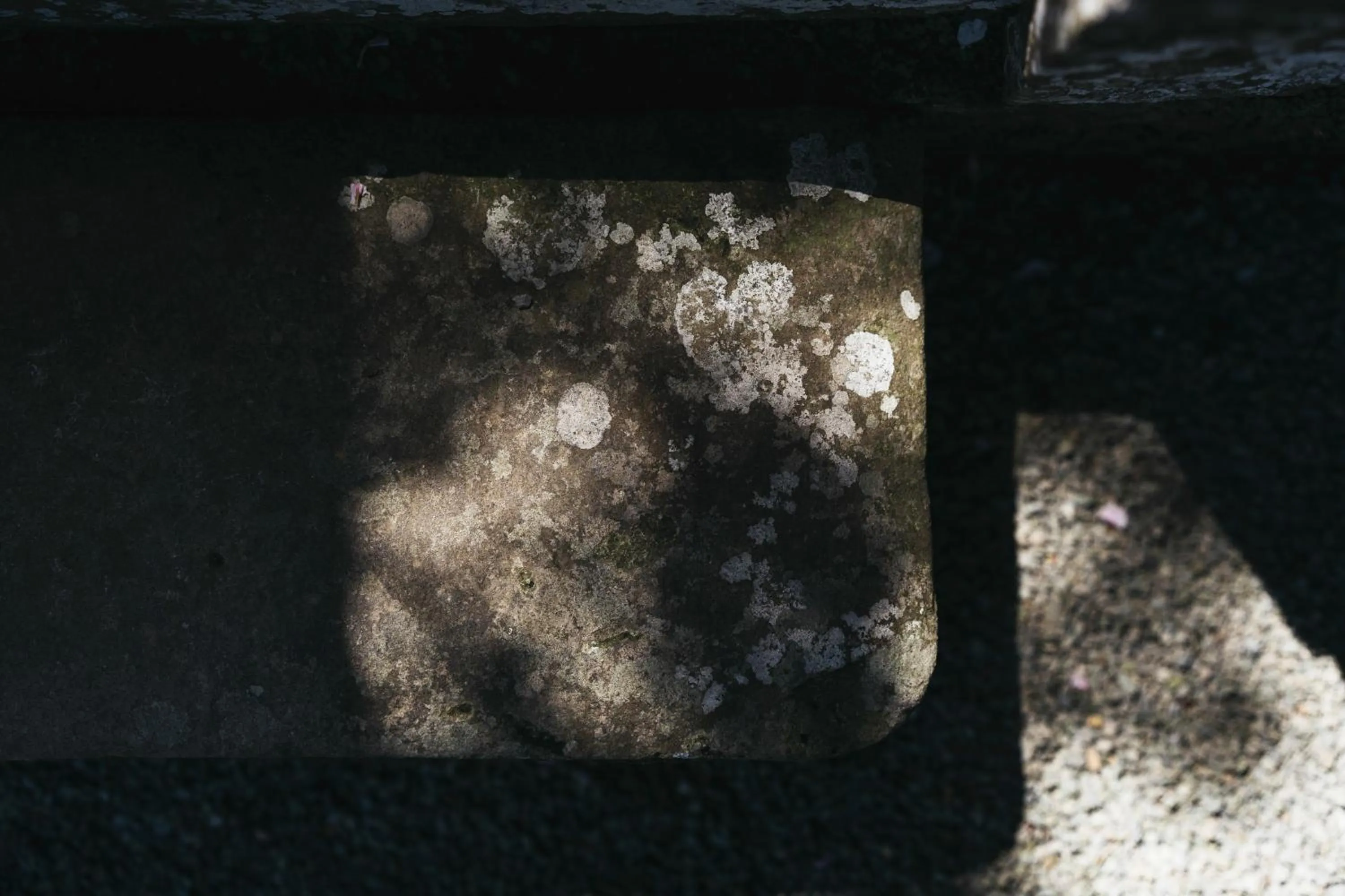 Decorative detail in PAAK Hotel