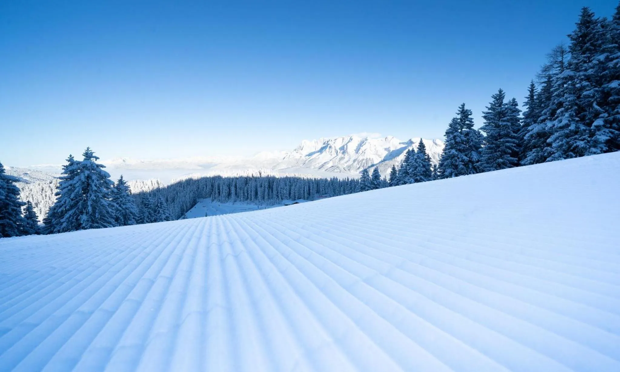 View (from property/room) in Hotel-Restaurant Planaihof