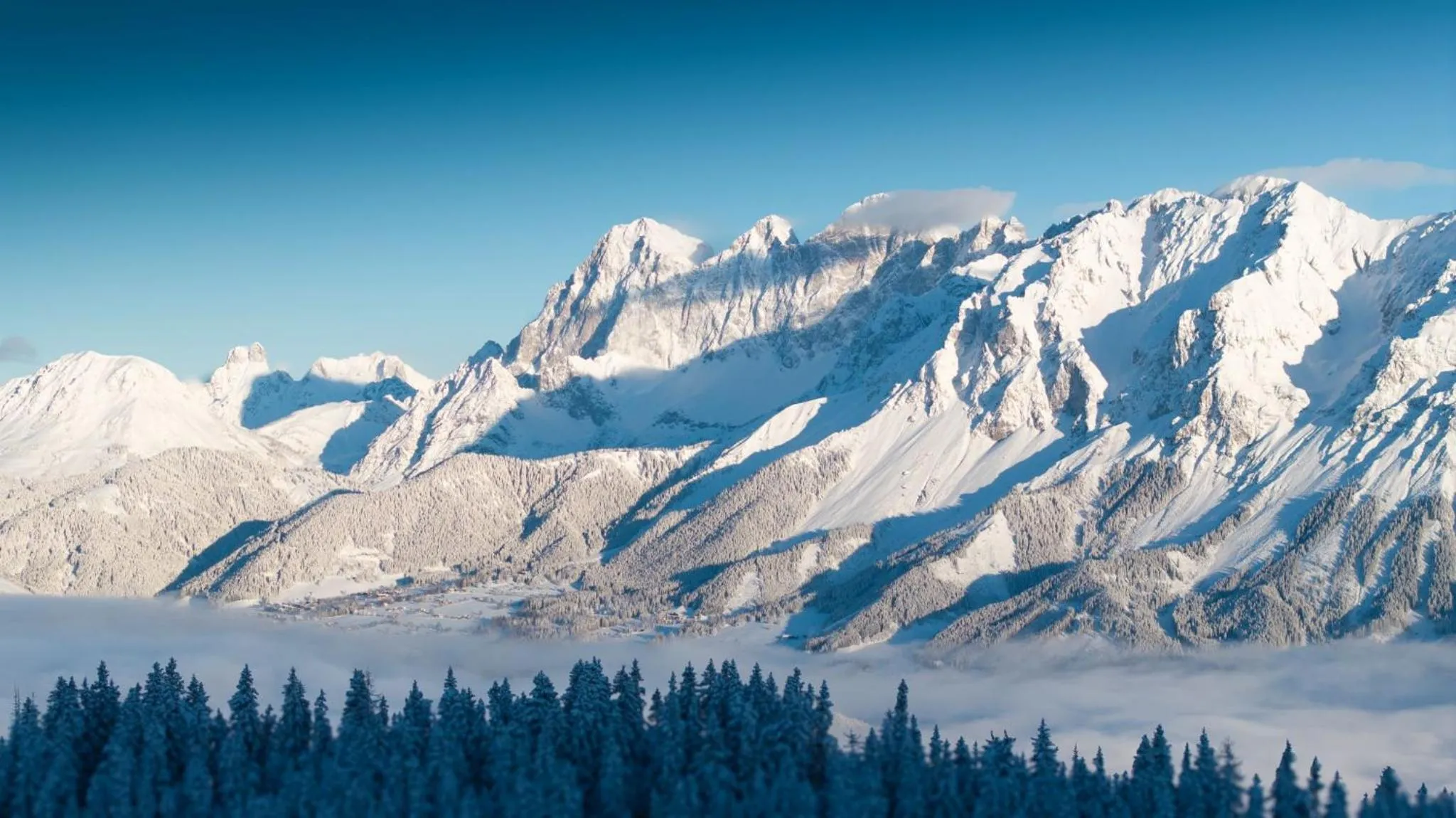 View (from property/room) in Hotel-Restaurant Planaihof