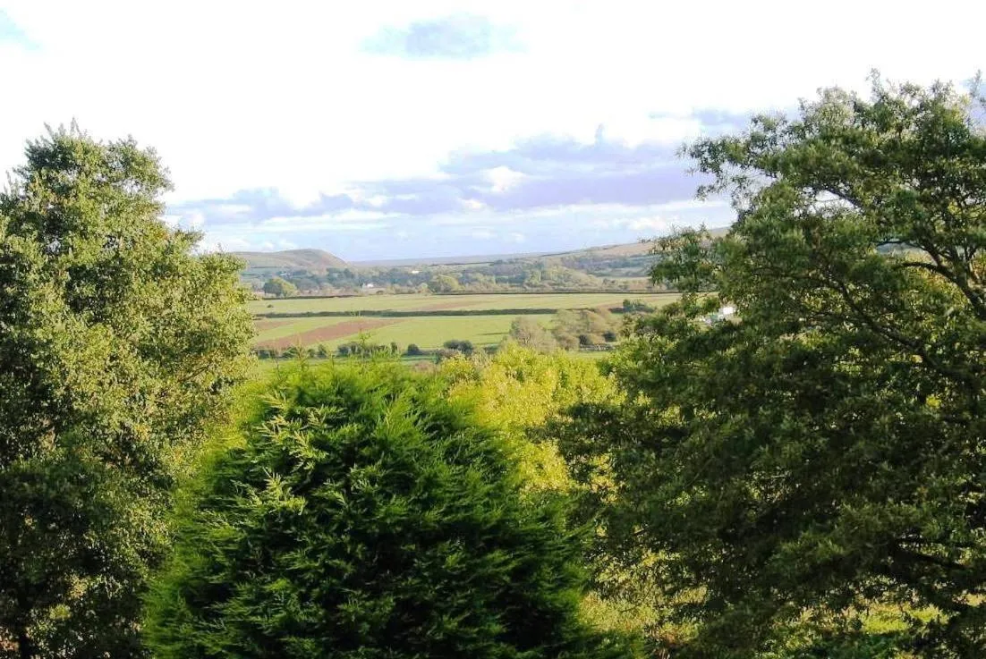 View (from property/room) in Lamphey Studios
