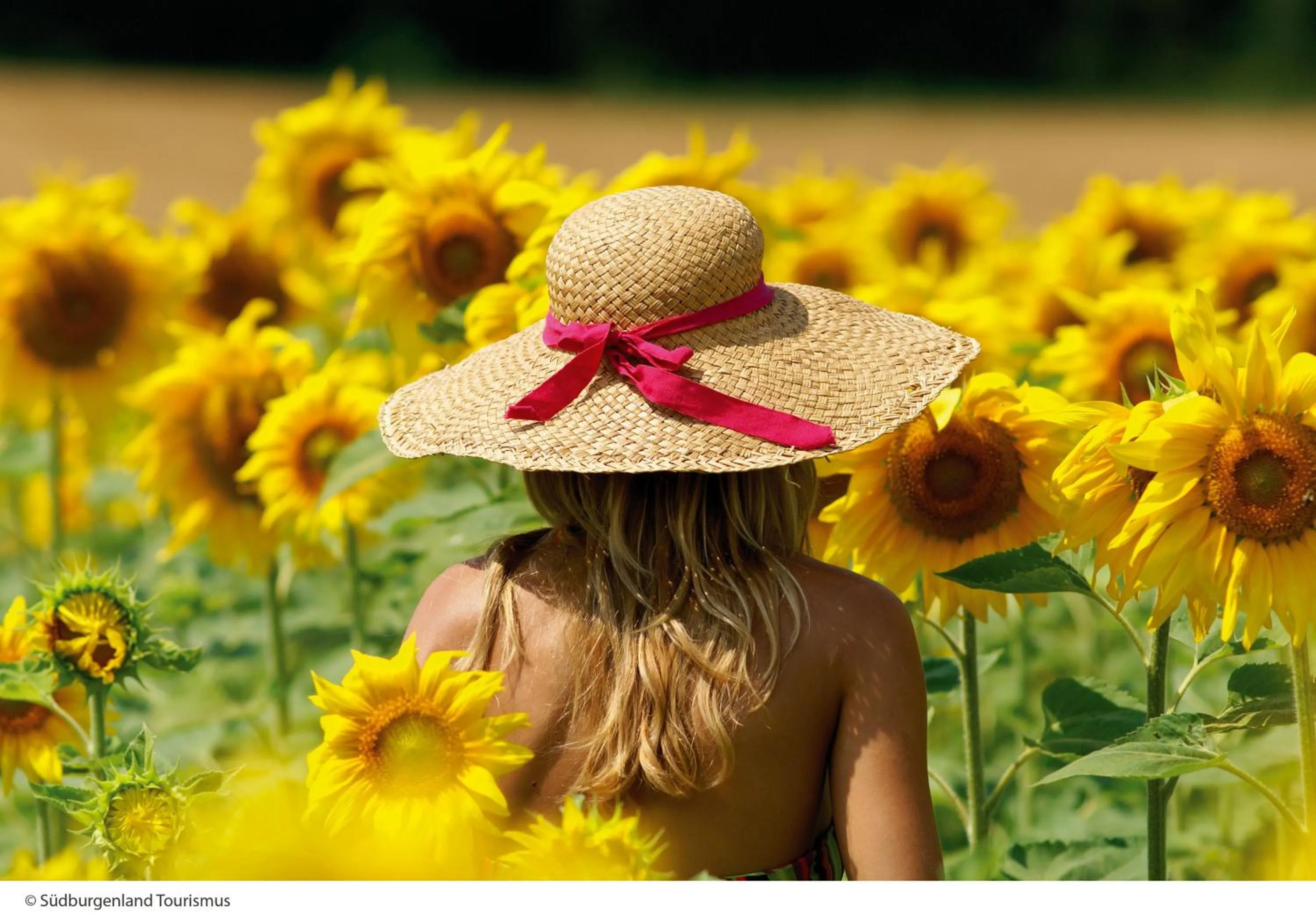 Hiking in Thermenhotel PuchasPLUS Stegersbach