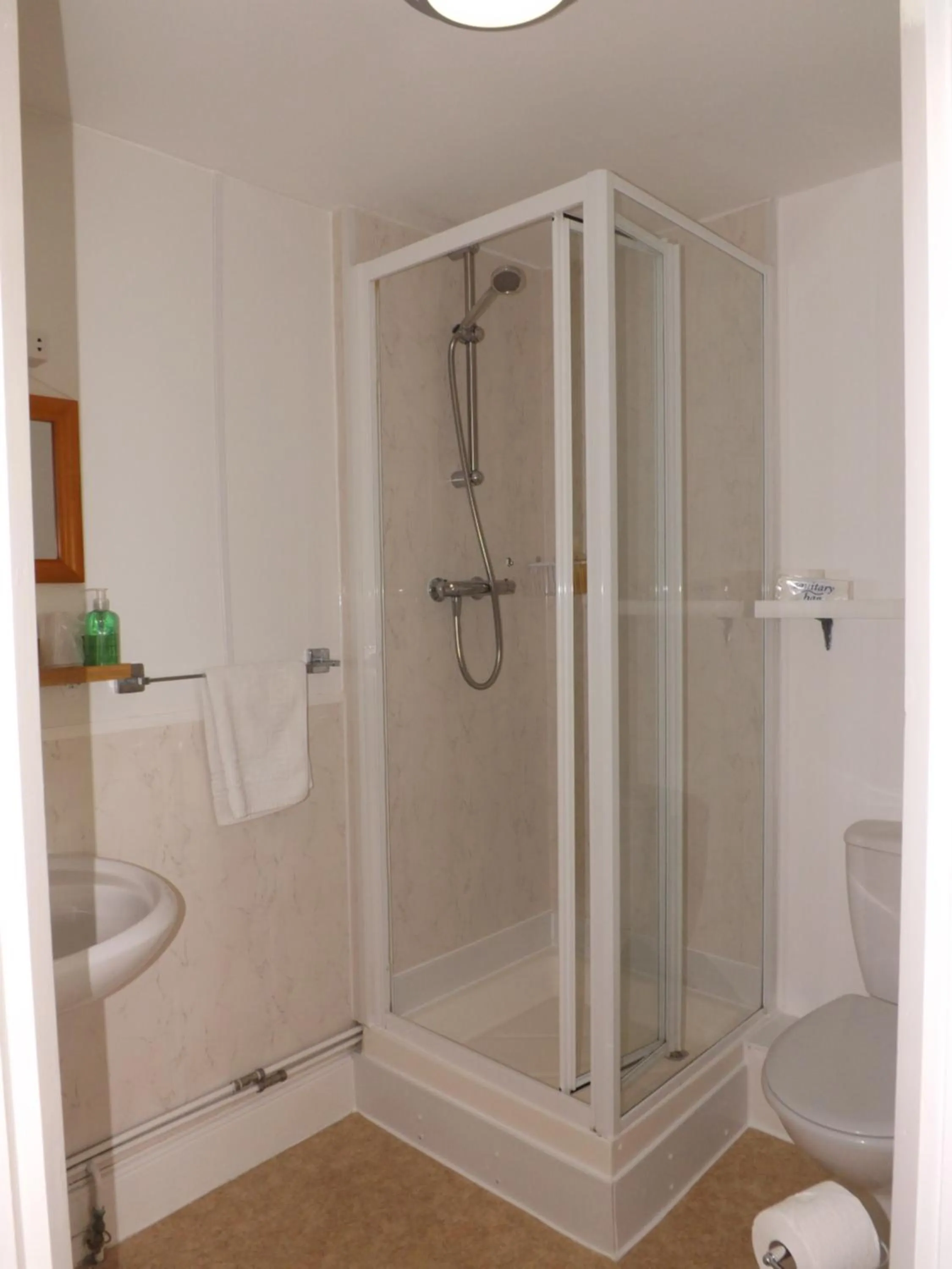 Shower in The Edenhurst Guesthouse