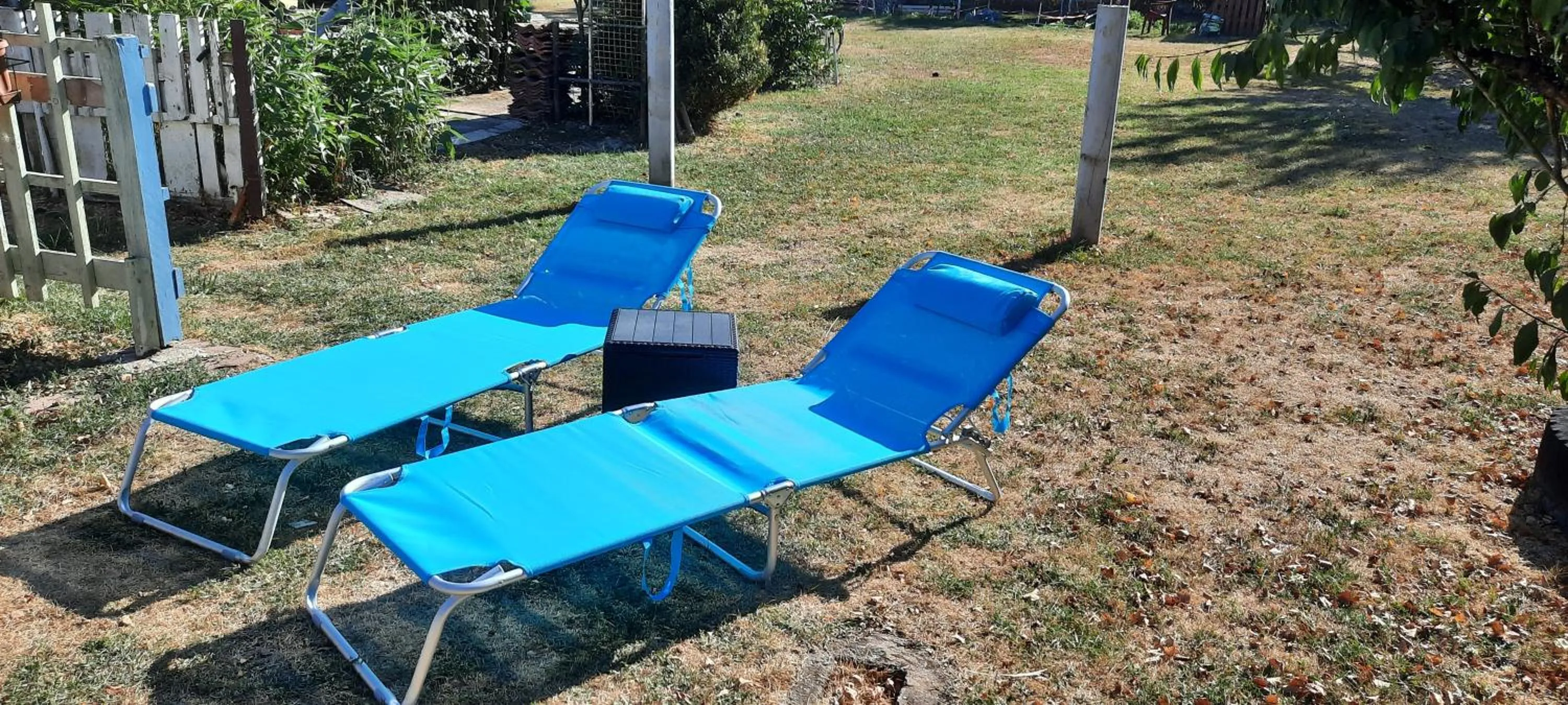 Garden in Chambres d'hôtes au Pays des Etangs