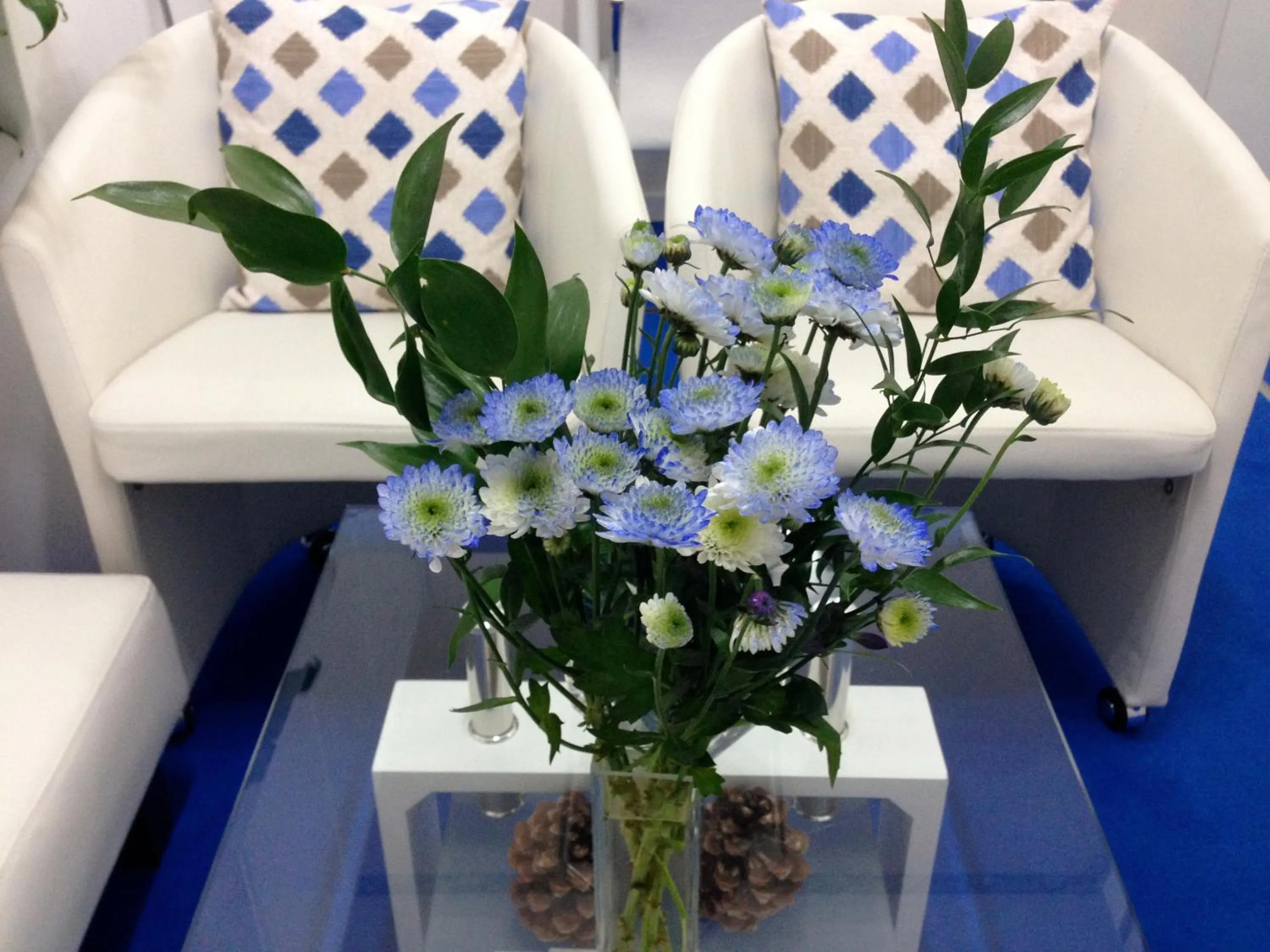 Lobby or reception in Kambal Maison