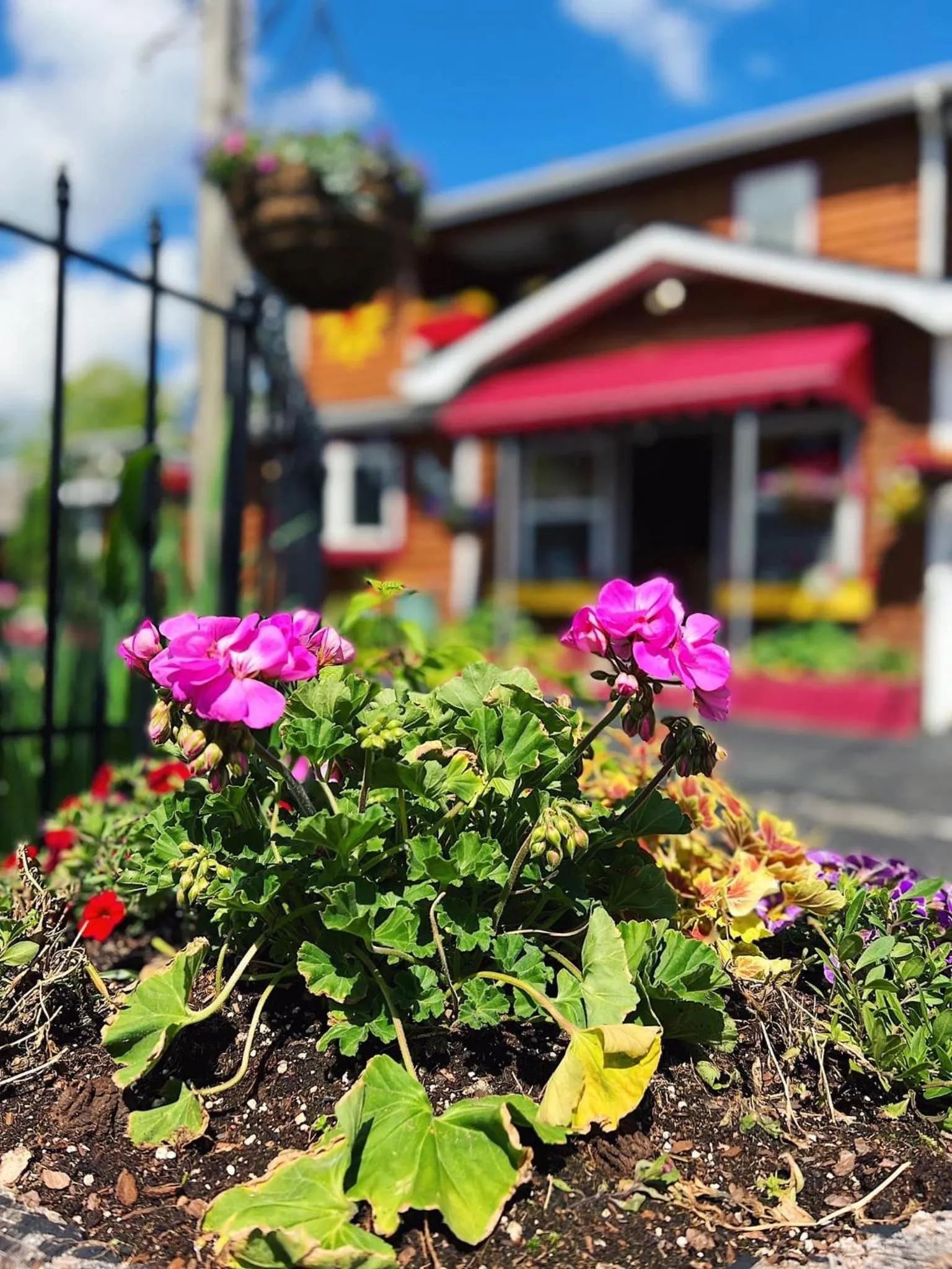 Homestead Inn - Blowing Rock