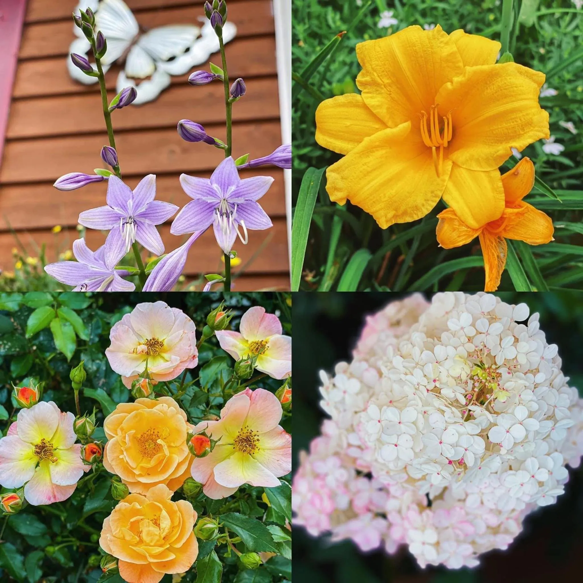 Homestead Inn - Blowing Rock