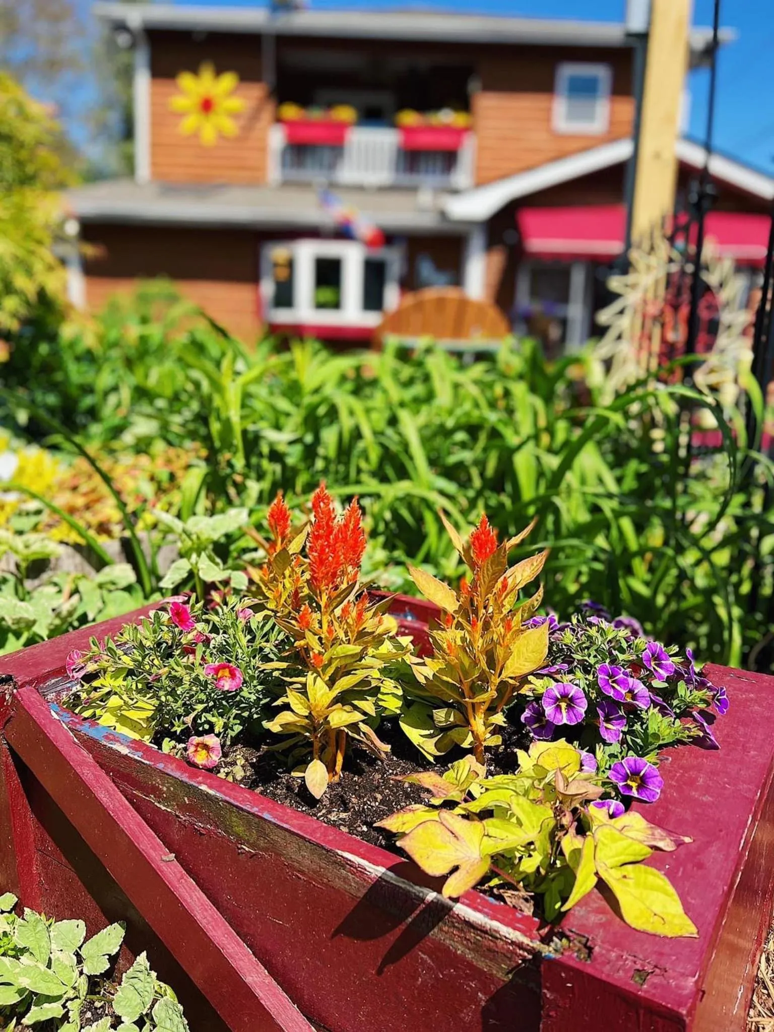 Homestead Inn - Blowing Rock