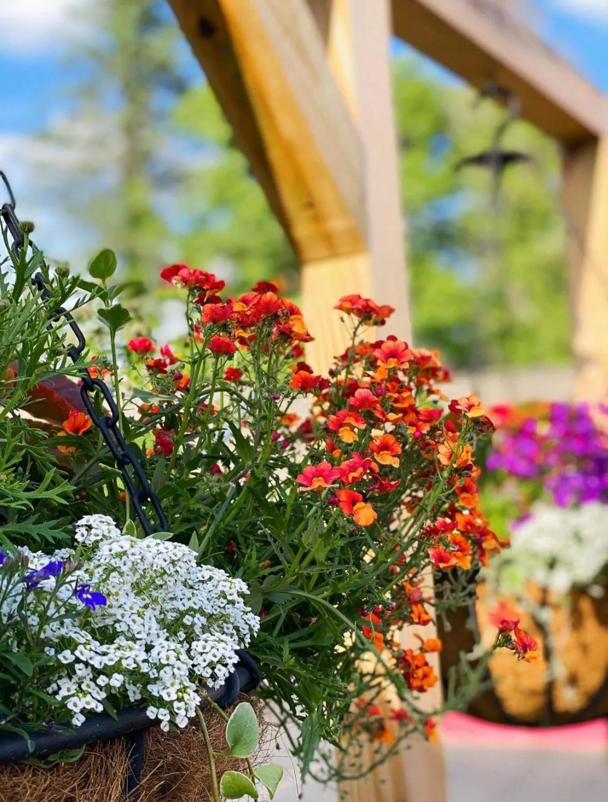 Homestead Inn - Blowing Rock